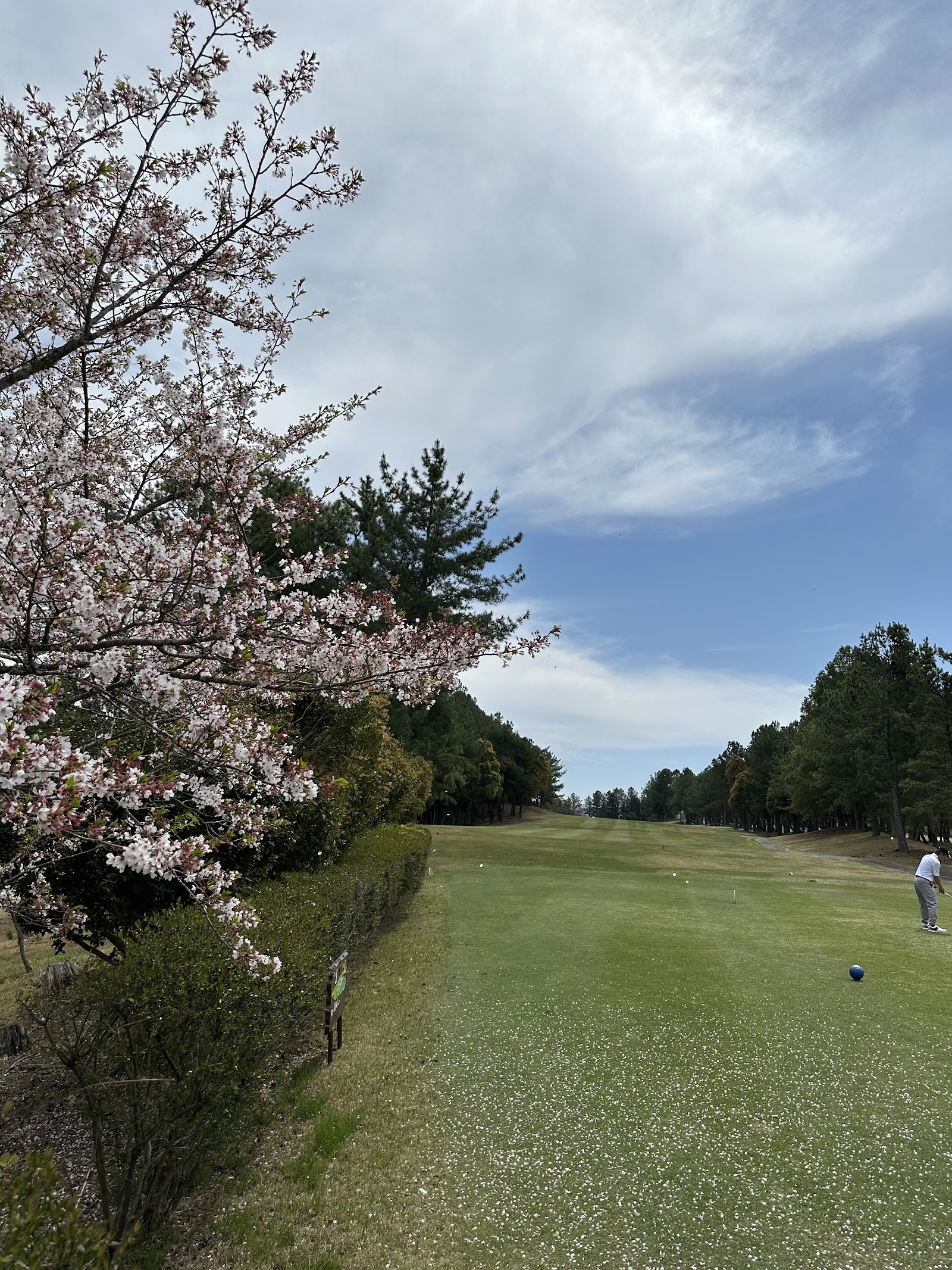 Mikanohara Country Club - 6