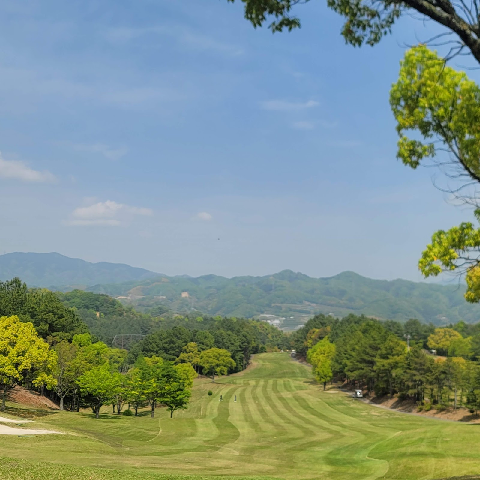 Dogo Golf Course - 3