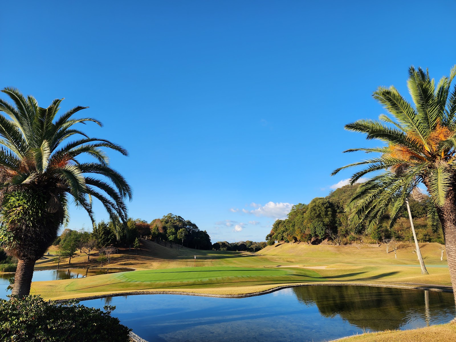 Sunset Hills Country Club - 5
