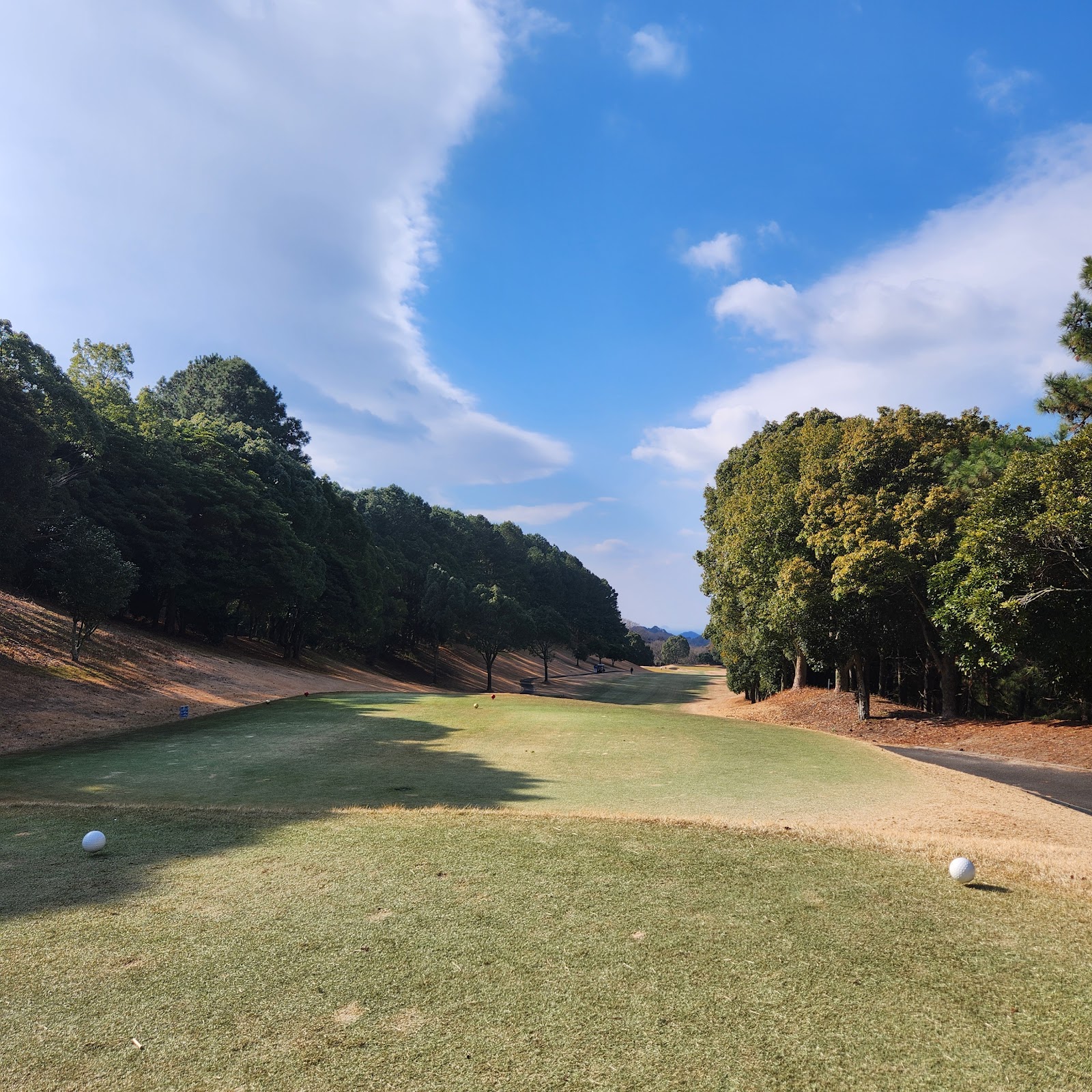 Chisan Country Club Hojo - 4