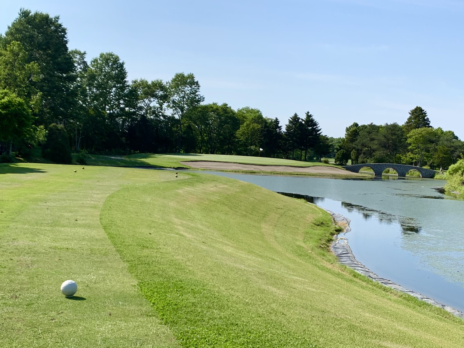 Shamrock Country Club - 2