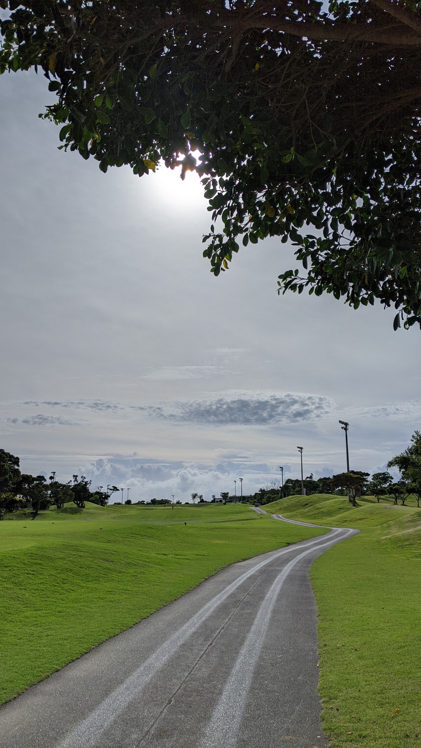 Queen's Trap Golf Course - 3
