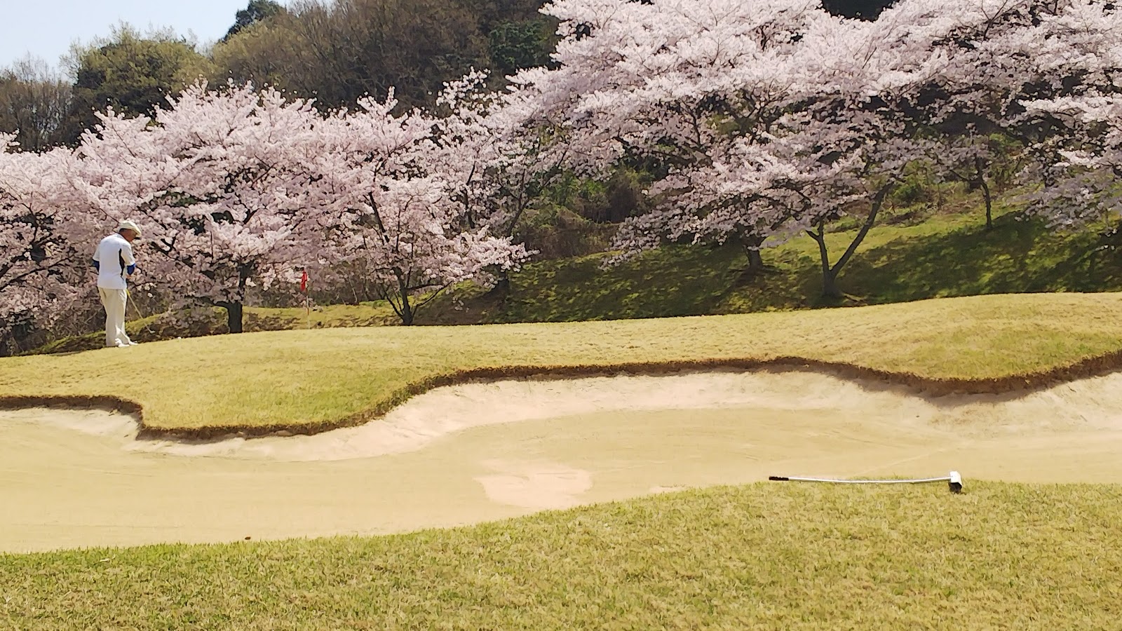 Imabari Country Club - 2