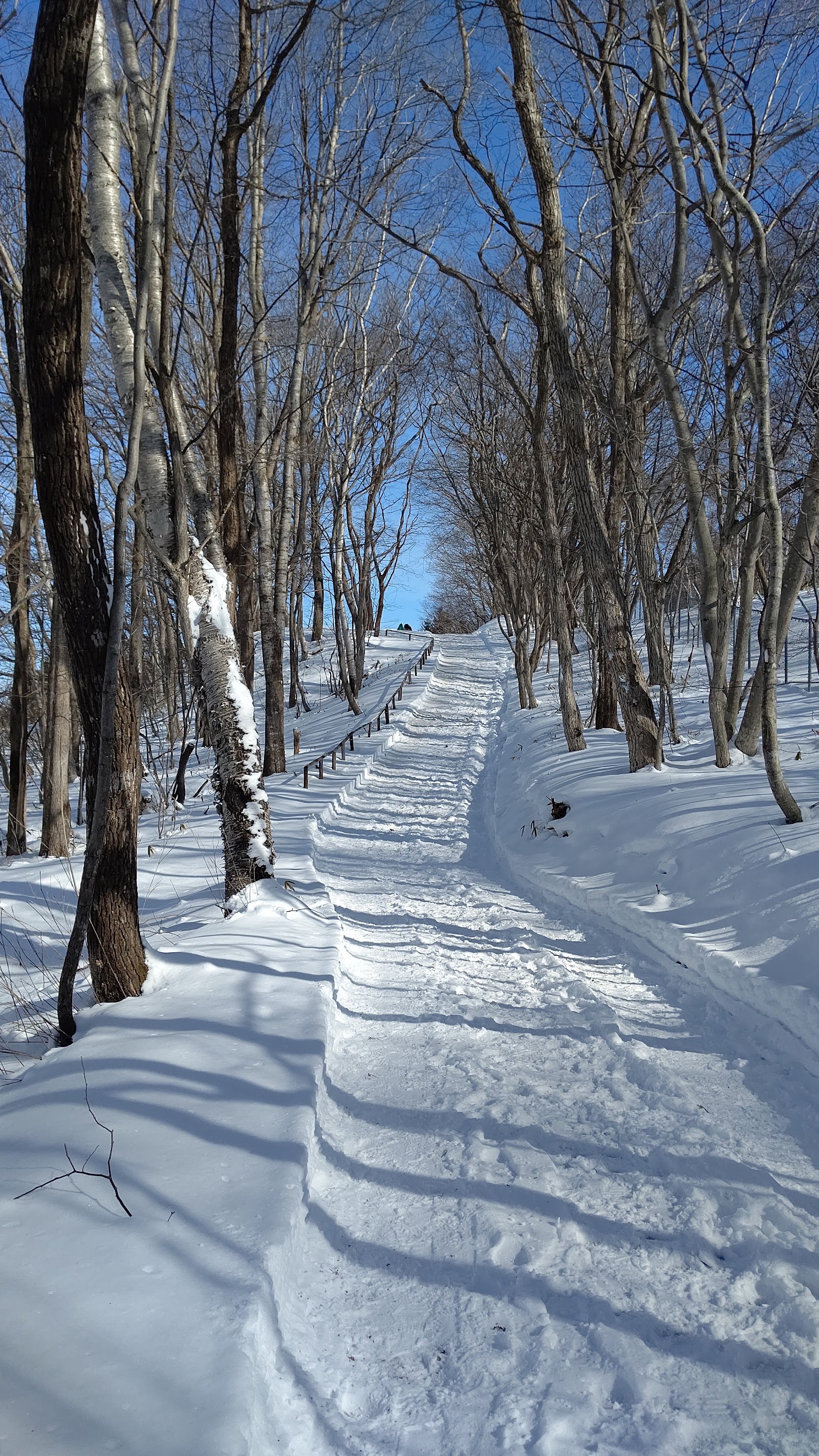 Chitose Inter Golf Club - 4