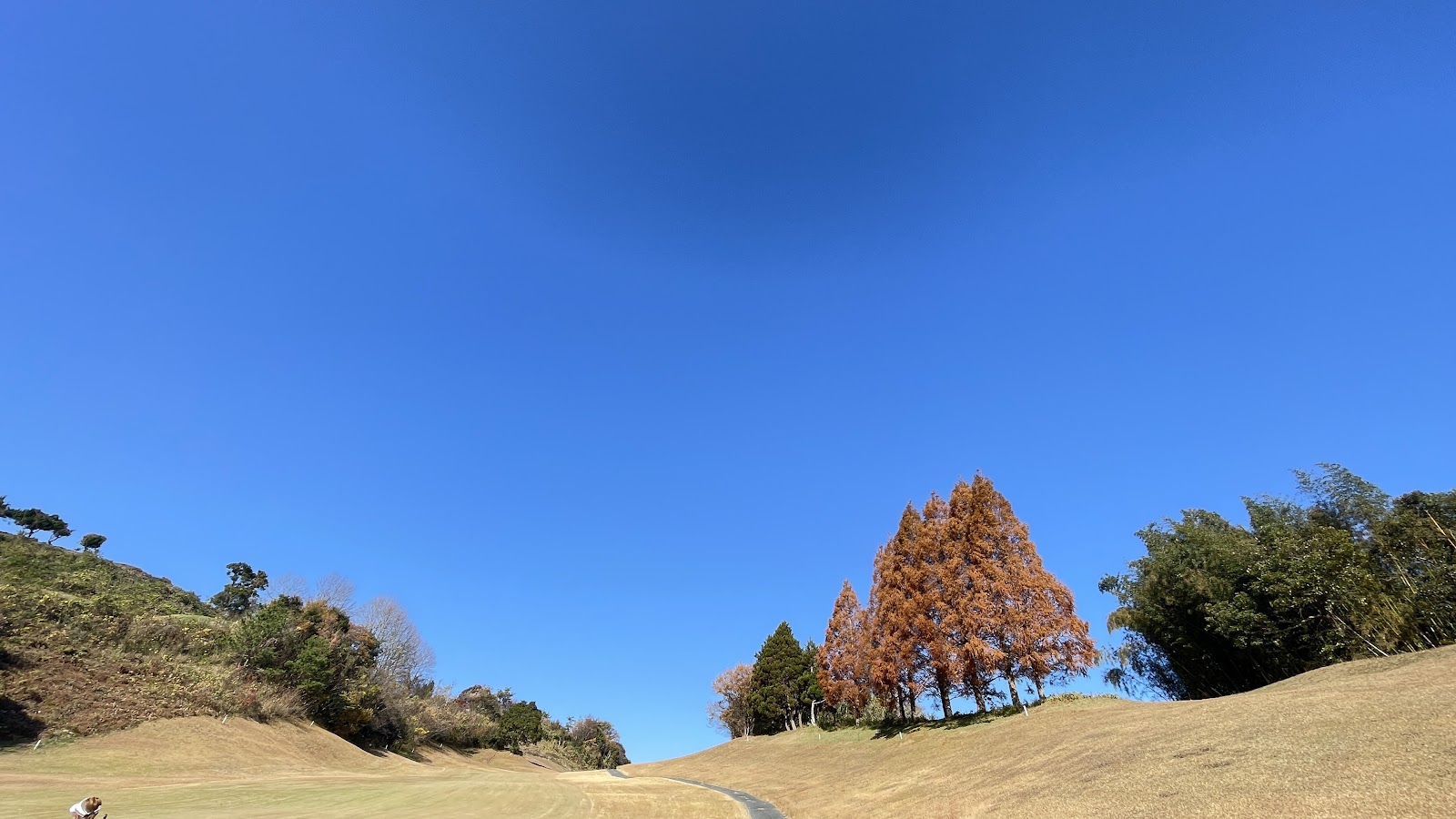 Tokuyama Country Club - 6