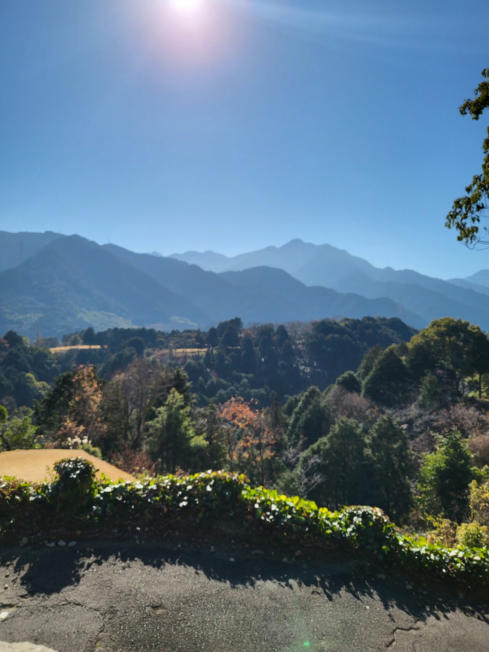 Saijo Golf Course - 2