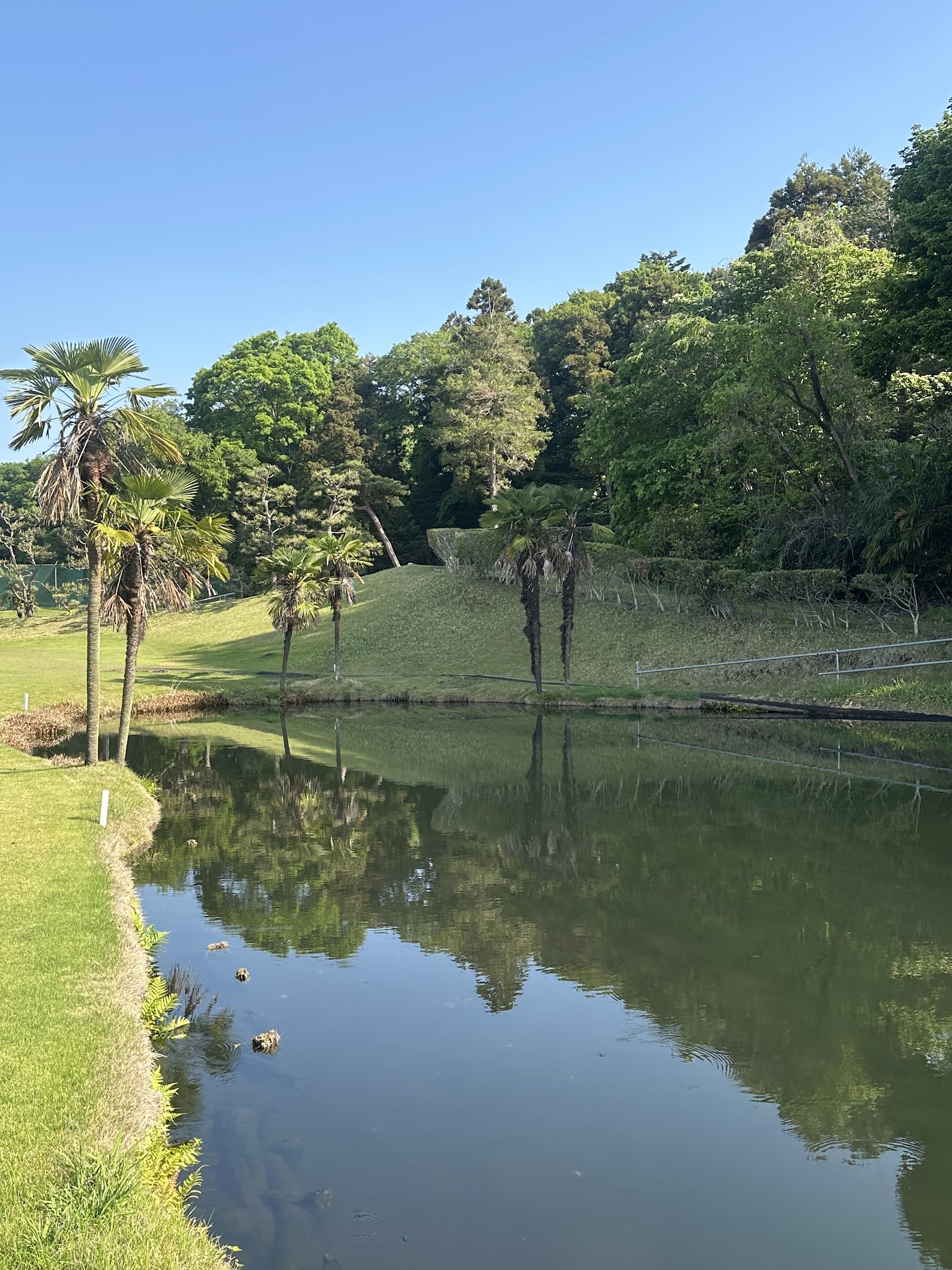 Tana Birdie Golf