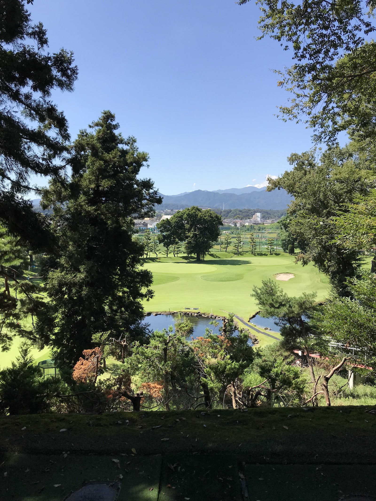 Tana Birdie Golf - 4