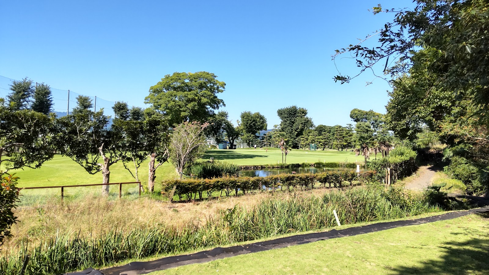 Tana Birdie Golf - 5