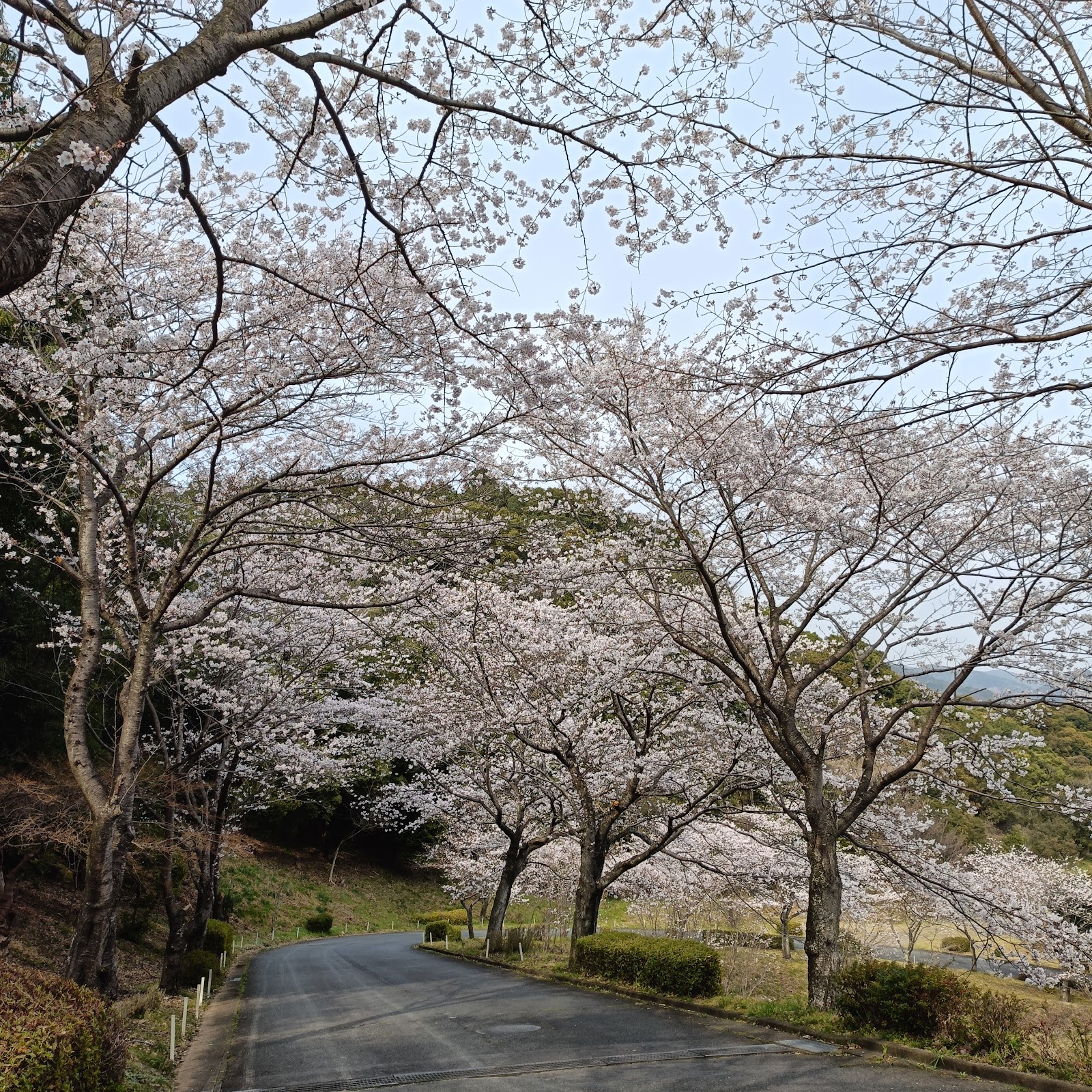 Yamato-Fudo Country Club - 6