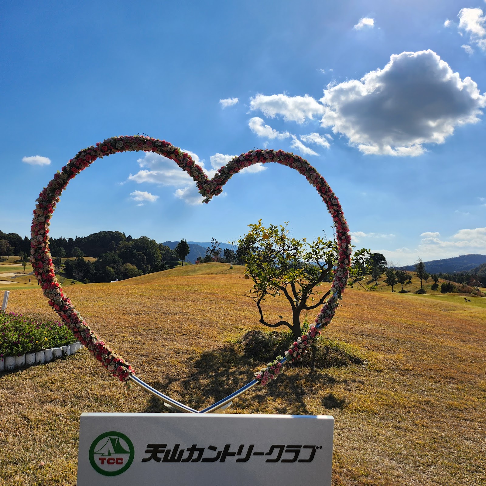 Tenzan Country Club - 5