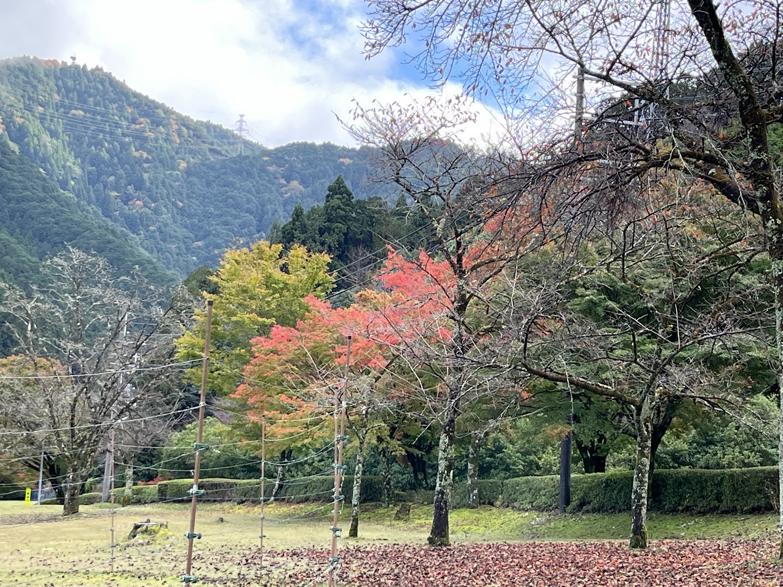 Ikenodaira Golf Course - 5