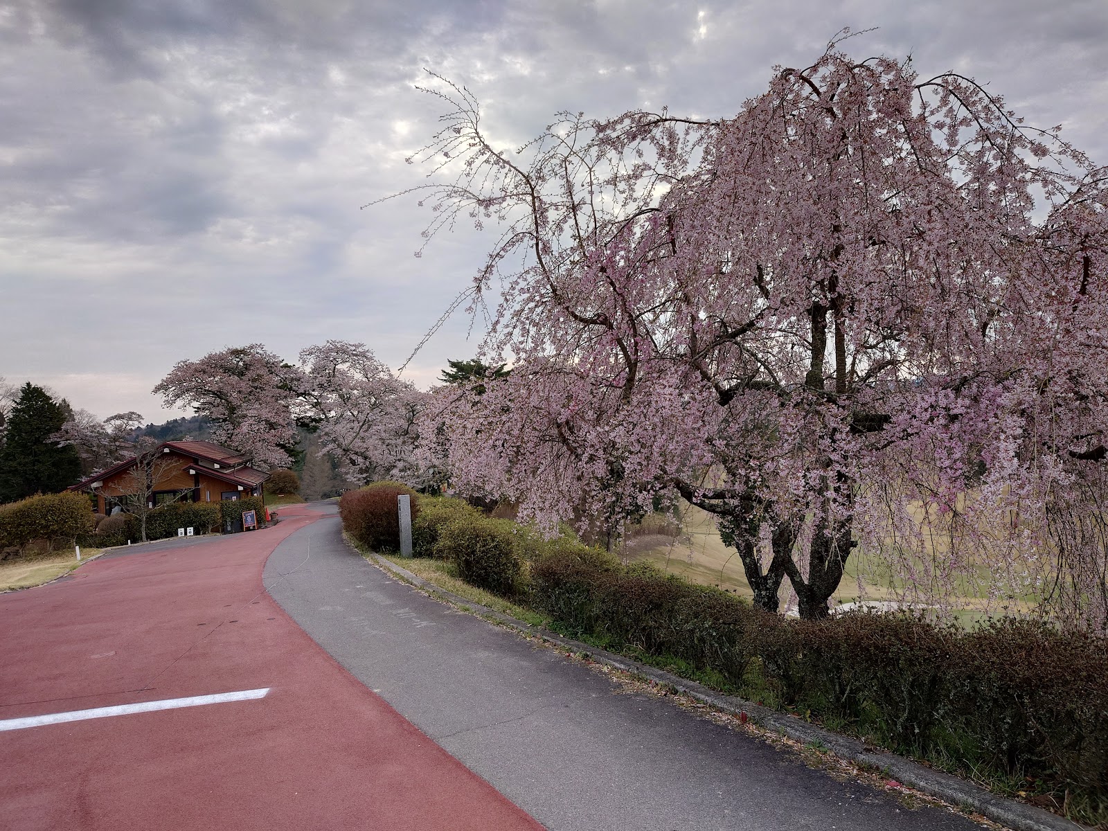 Kasugadai Country Club - 5