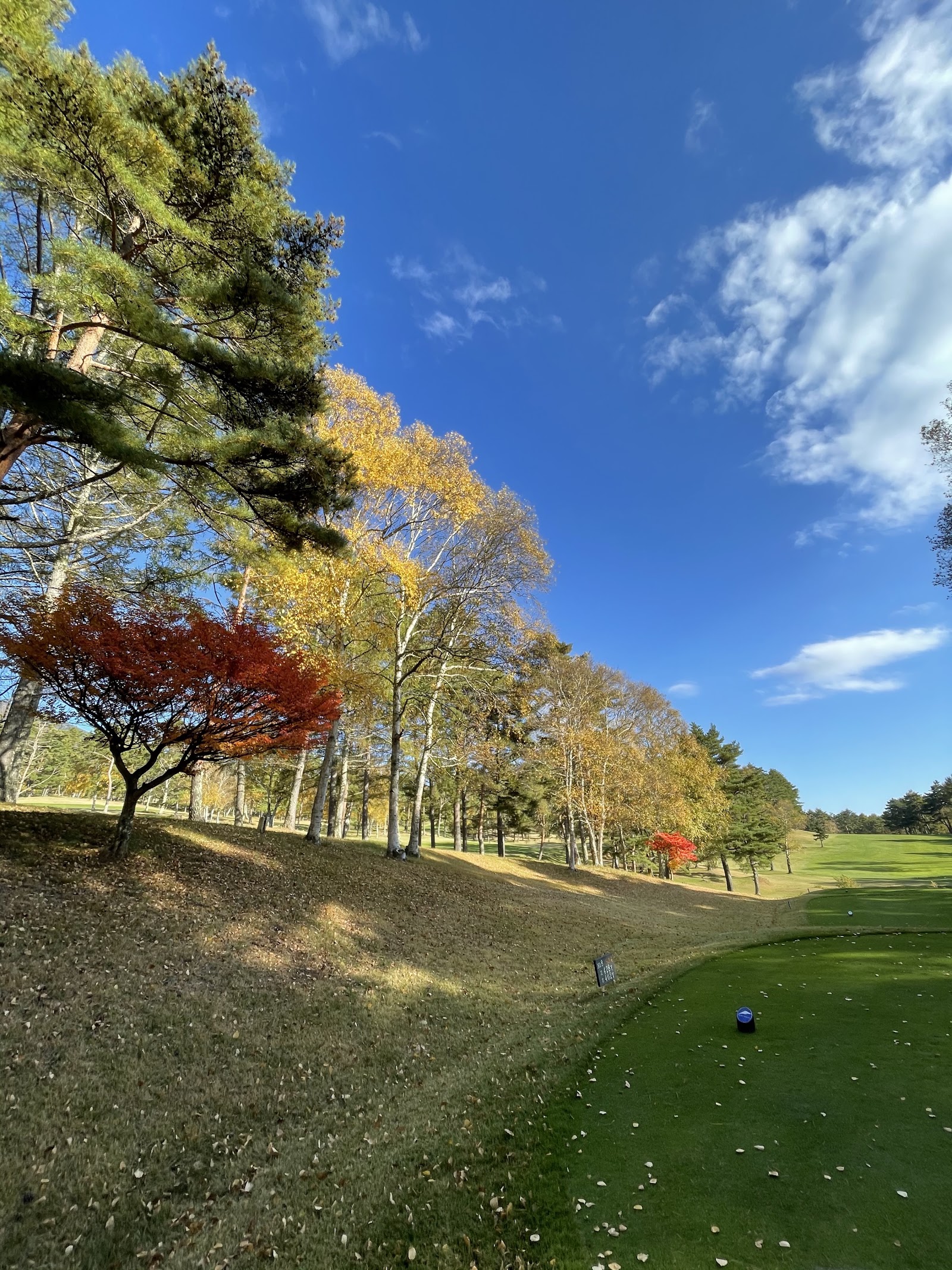 Fujimi Takahara Golf Course - 4
