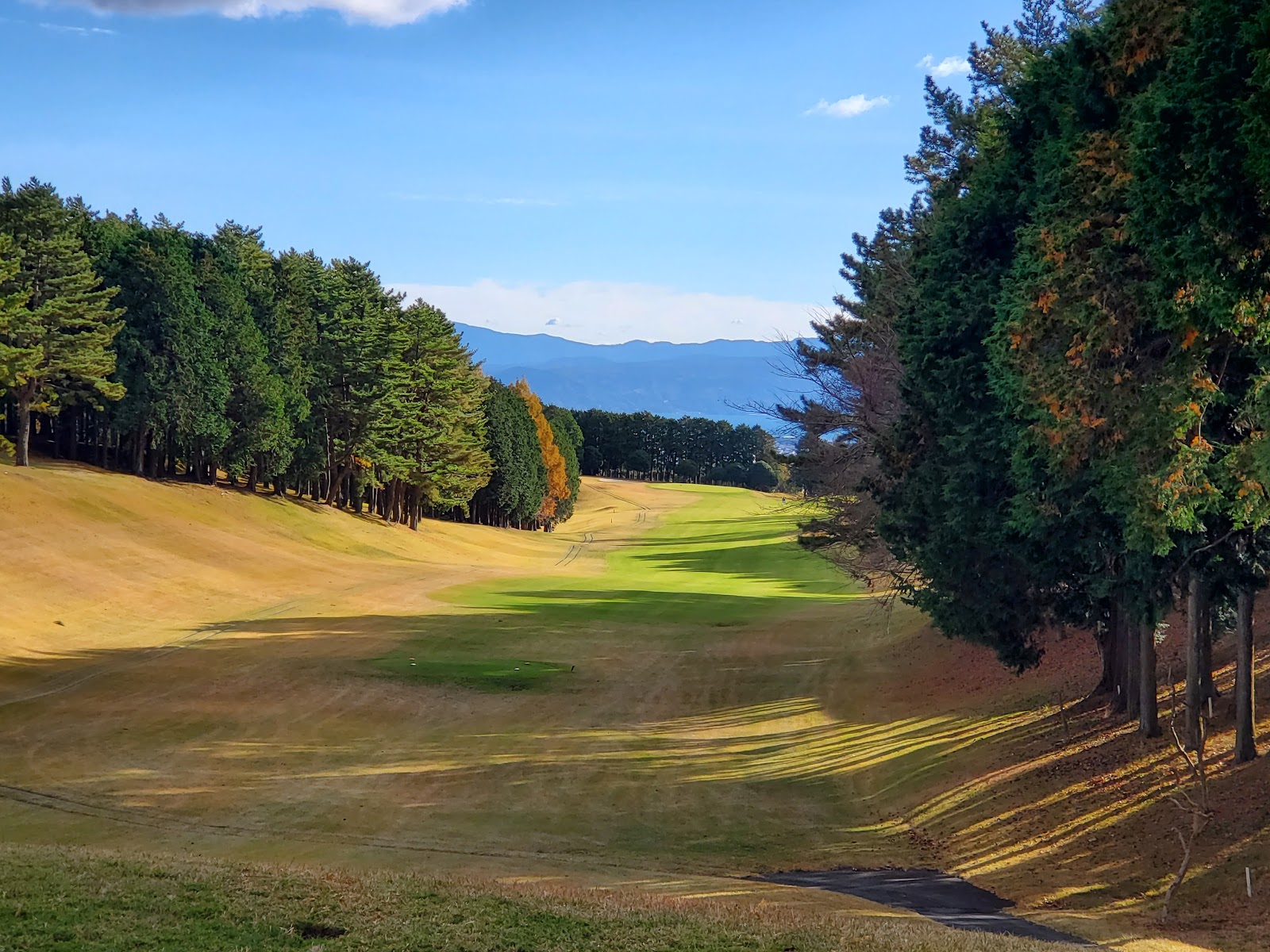 Shin-Numazu Country Club