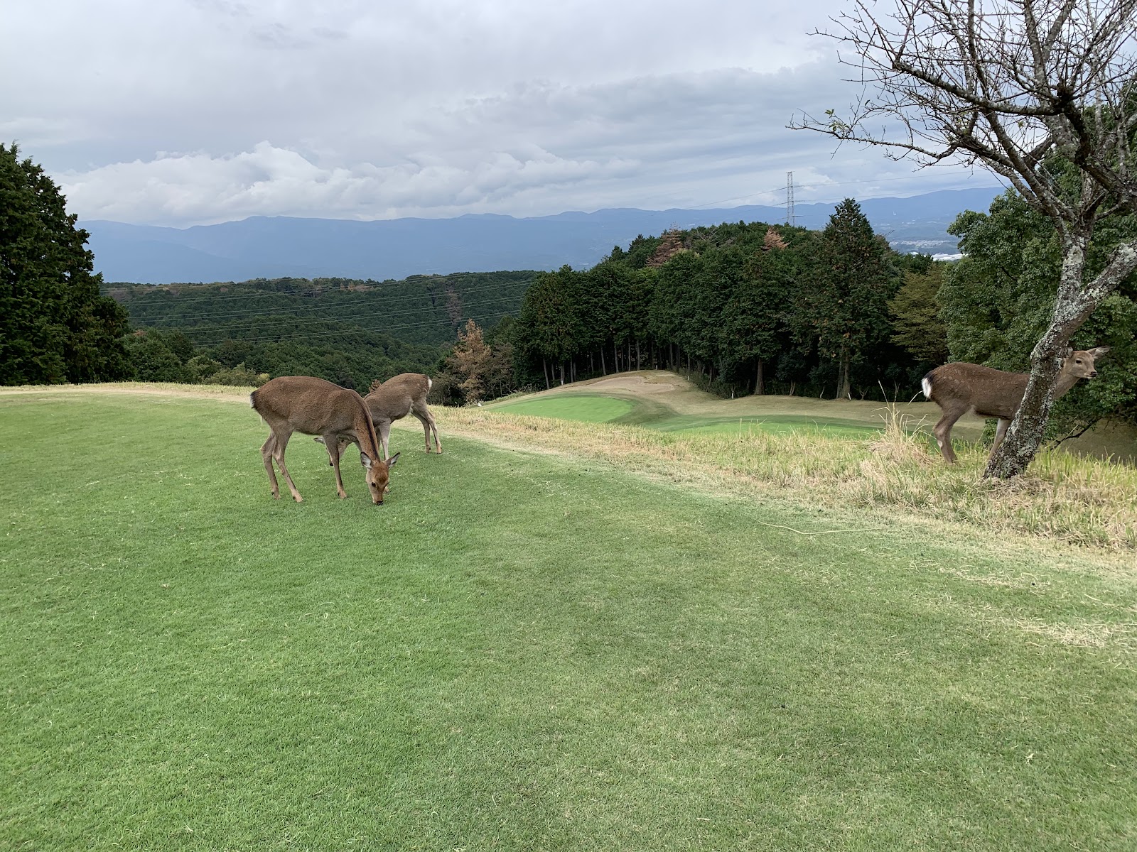 Fuji Ace Golf Club - 5