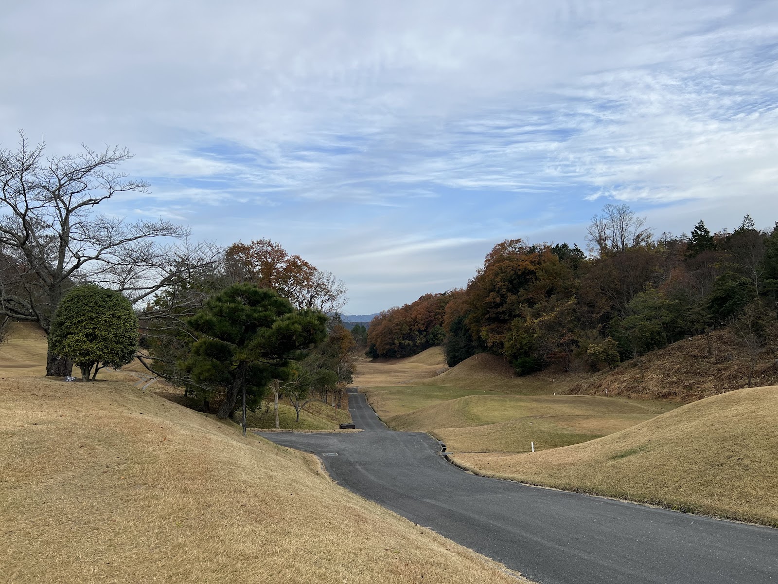 Narayagyu Country Club - 3