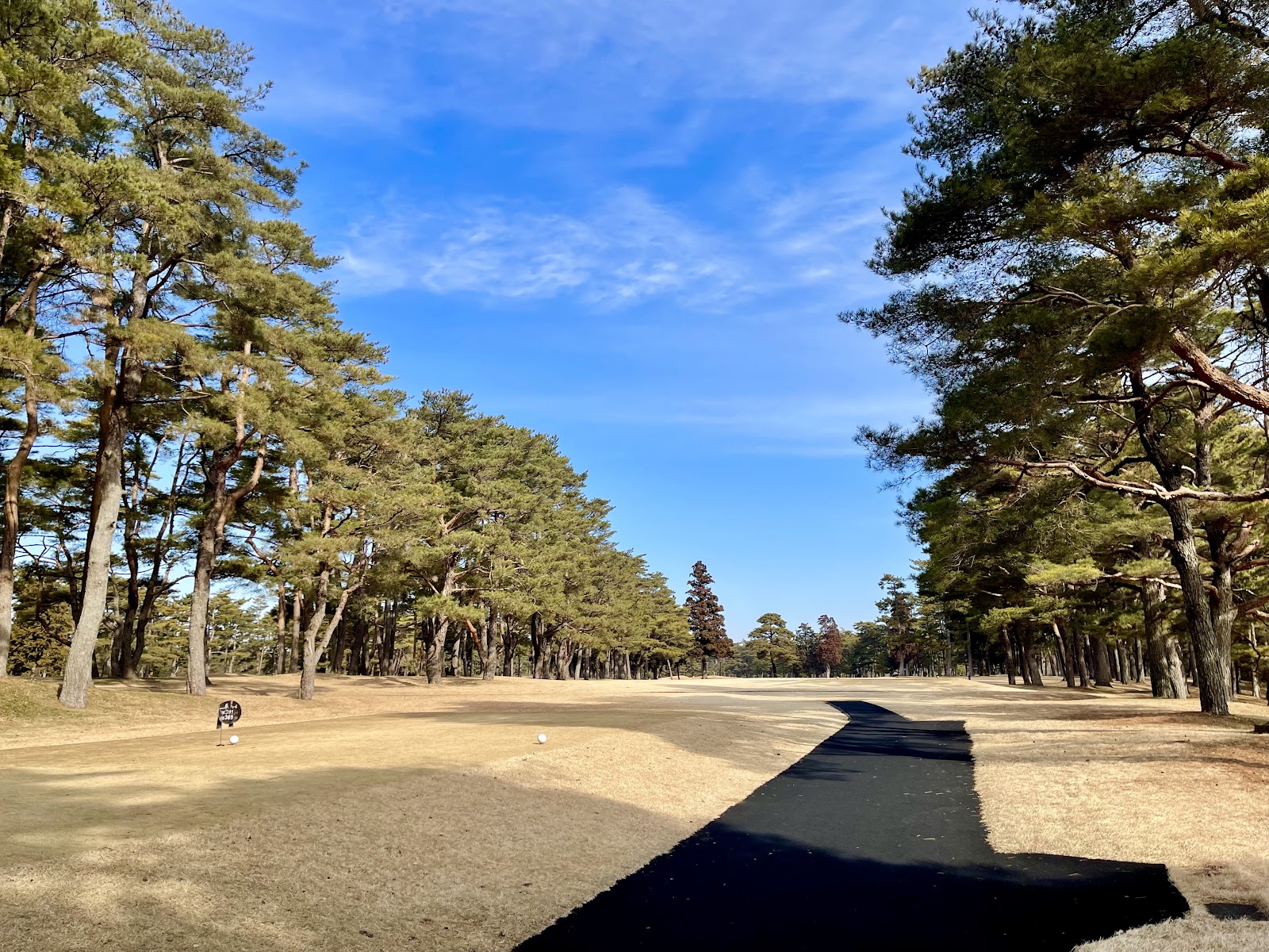 Ryugasaki Country Club - 6