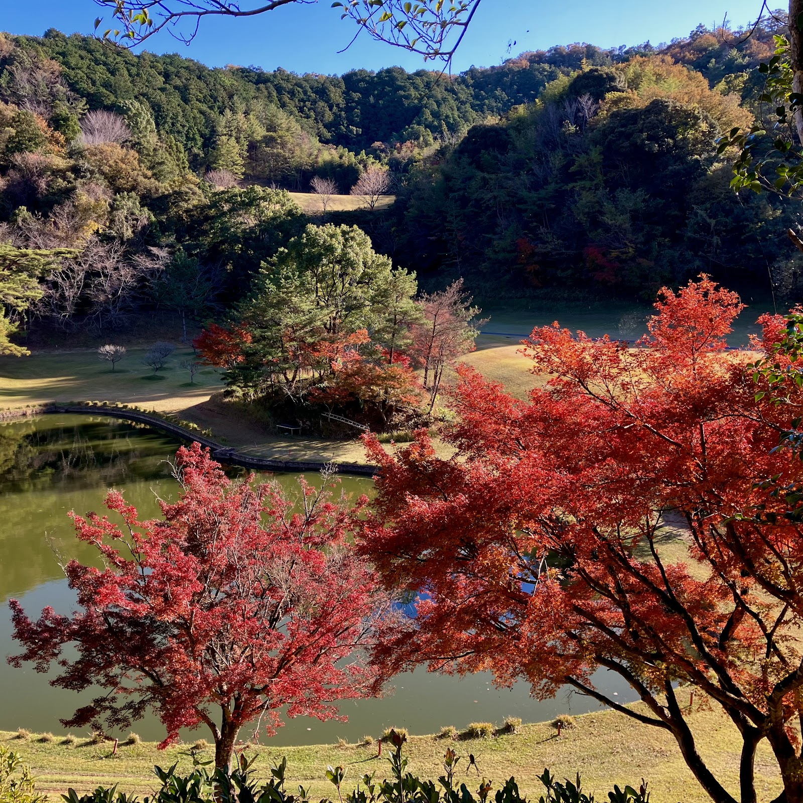Nishikiyama Country Club - 5