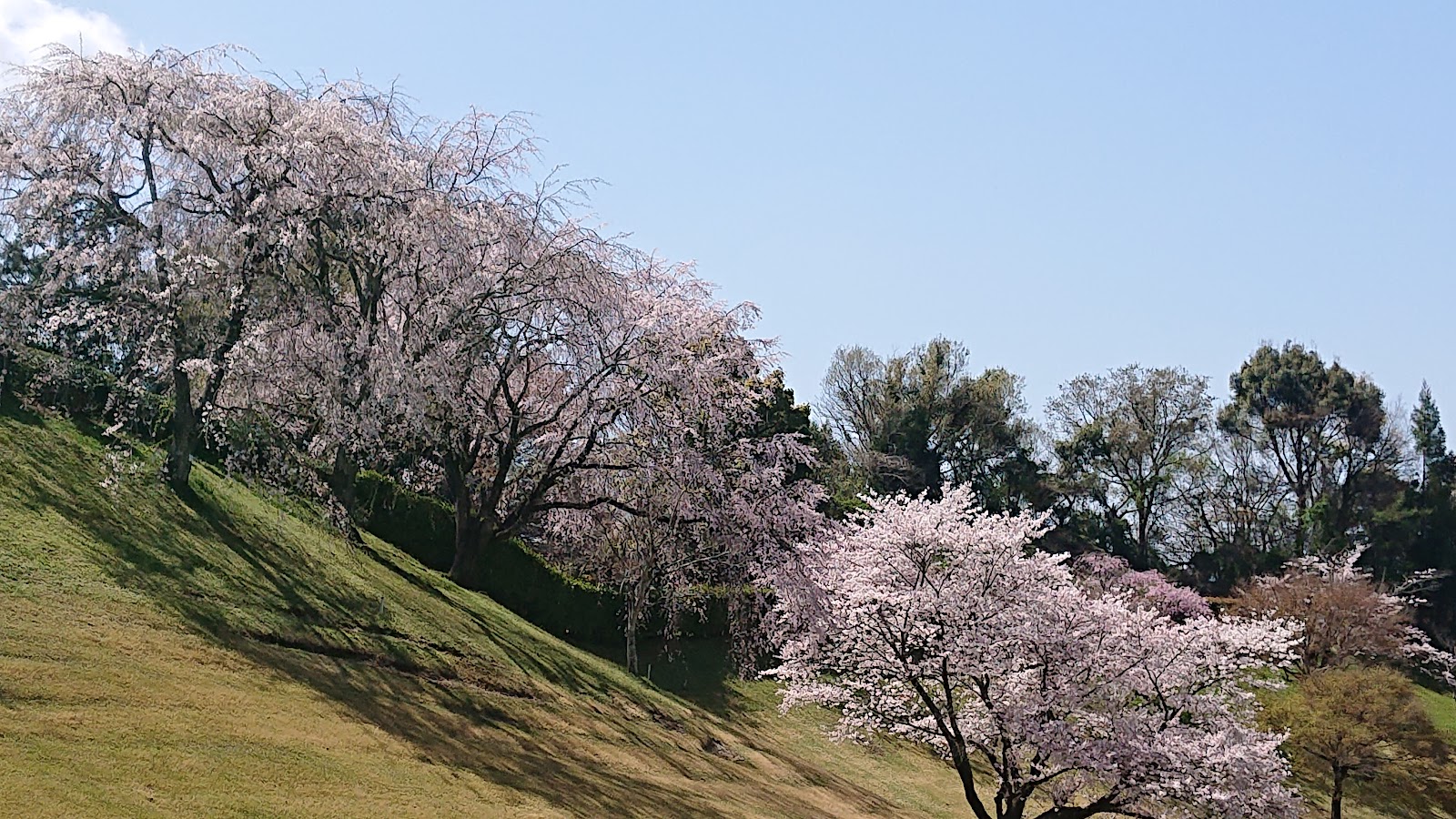 Nishikiyama Country Club - 6