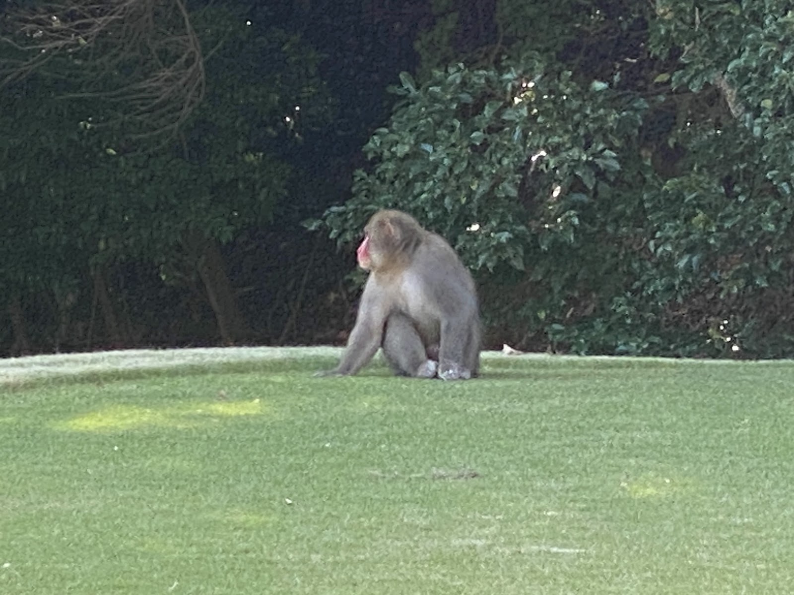 Tokai Country Club - 6