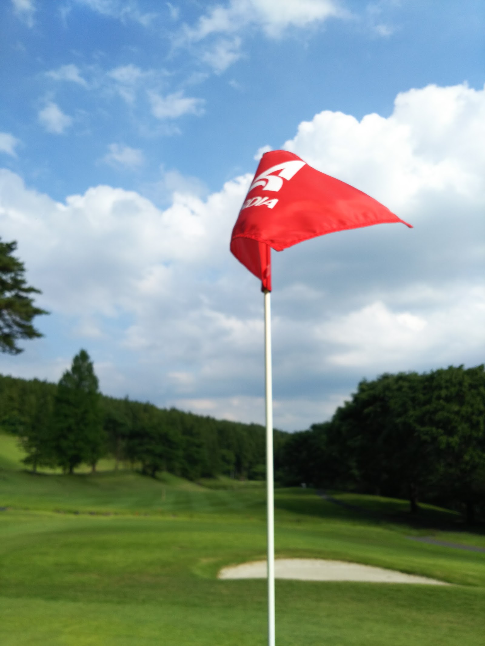 Village East-Karuizawa Golf Club - 5