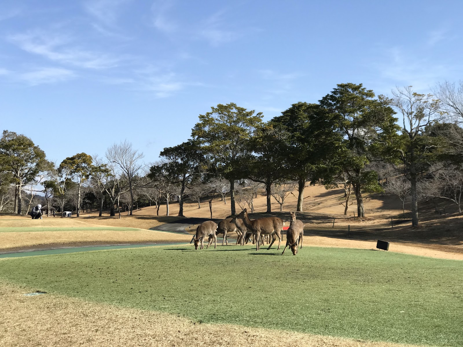 Hanao Country Club (Accordia Golf) - 5