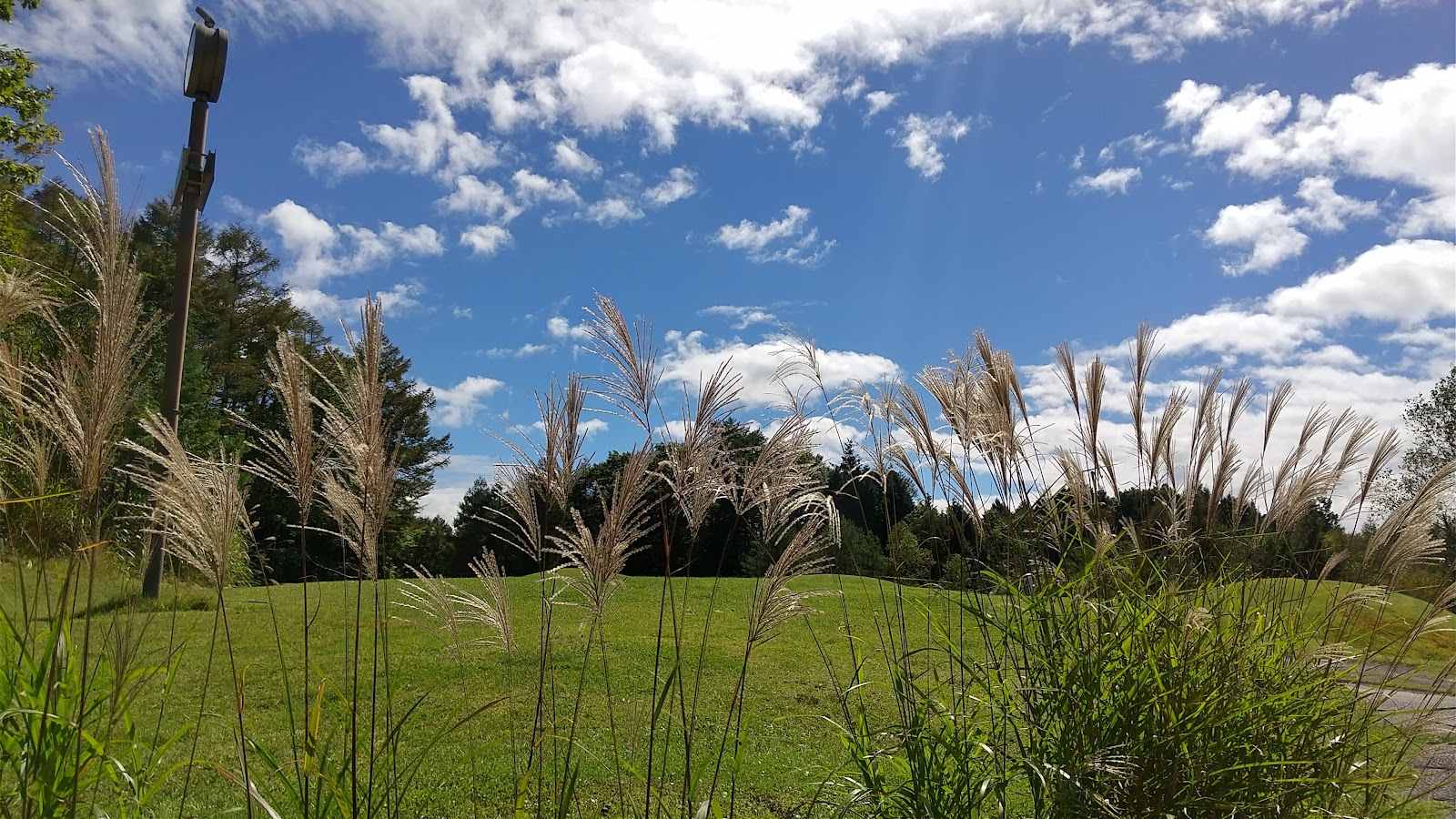 Chaususan Golf Club - 3