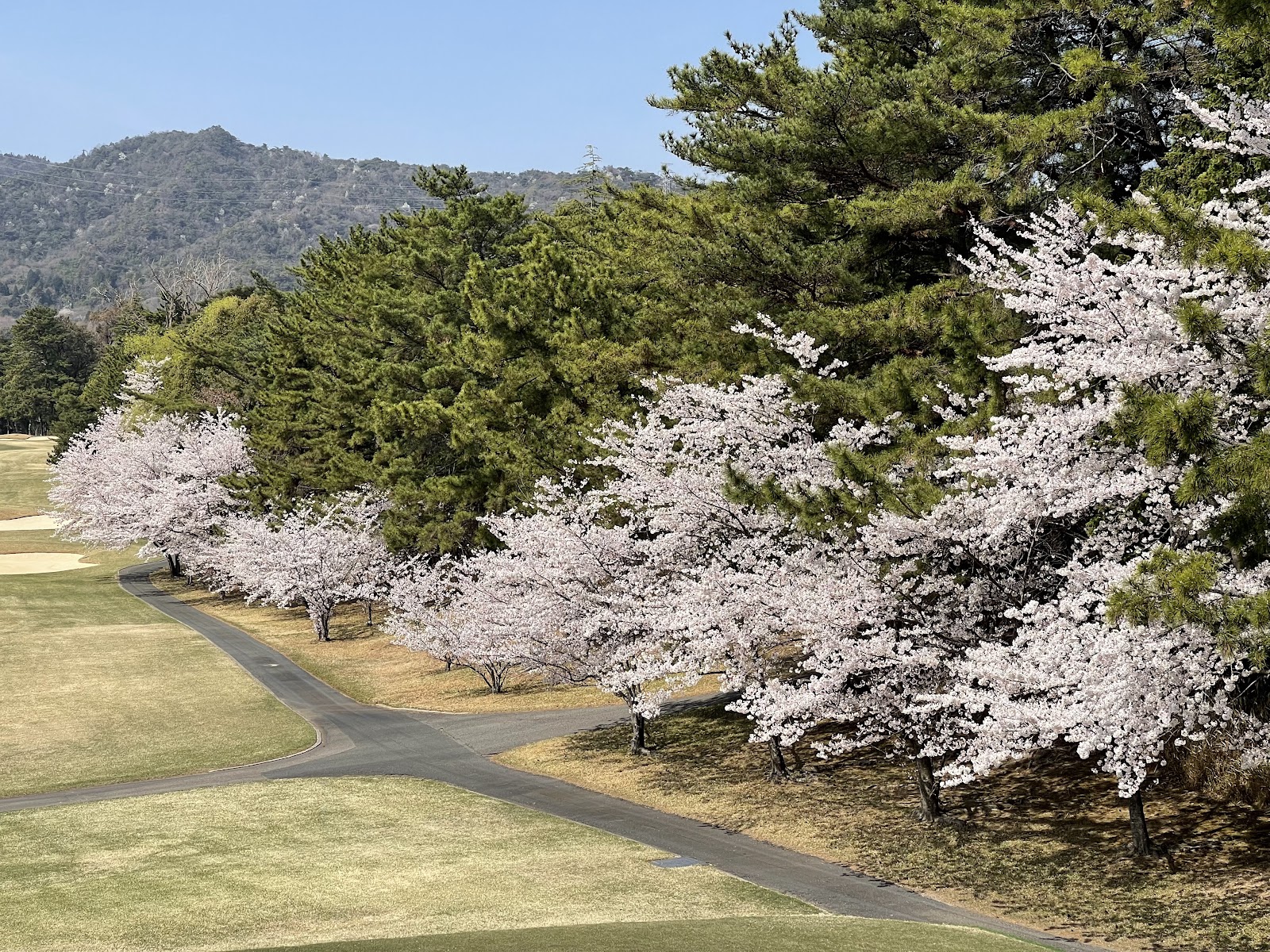 Nishinomiya Country Club - 5