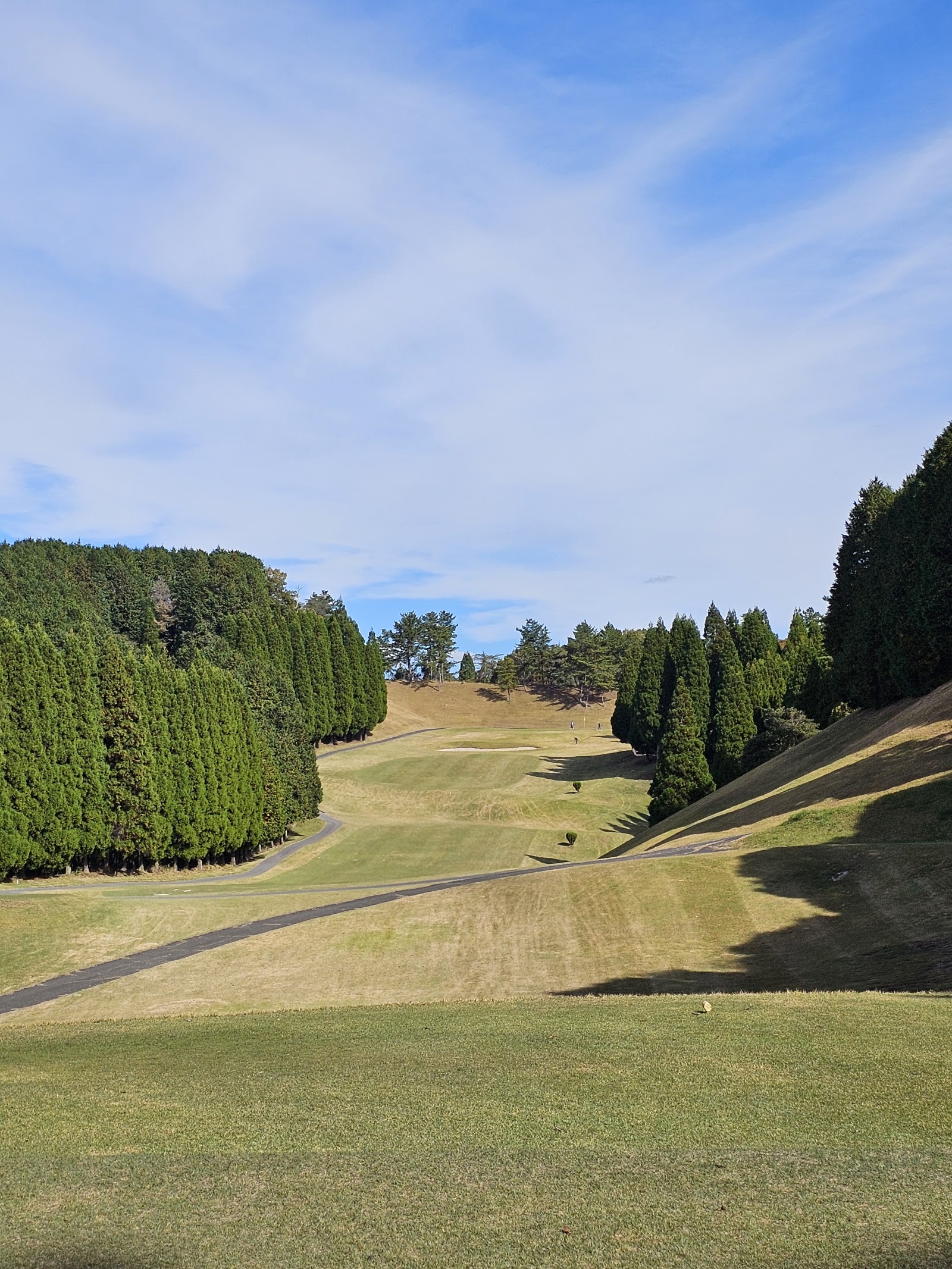 Yabe Sun Valley Golf Club - 6