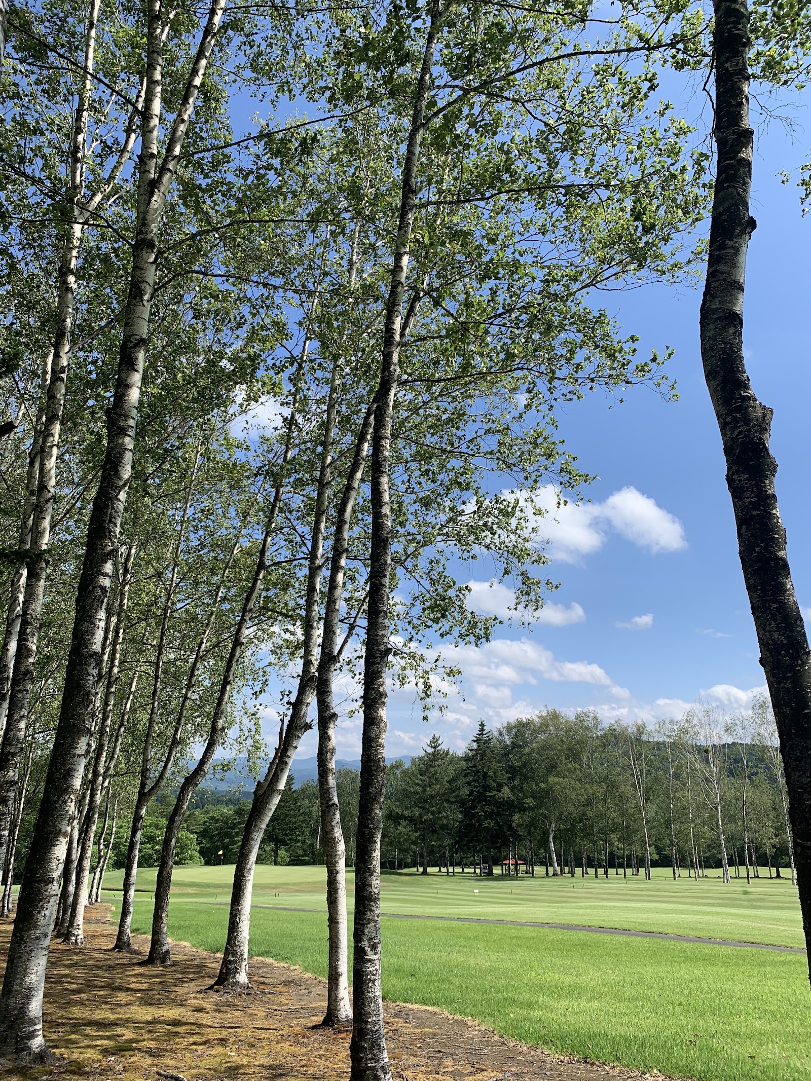 Tsugaru Country Club Hyakuzawa Course - 3