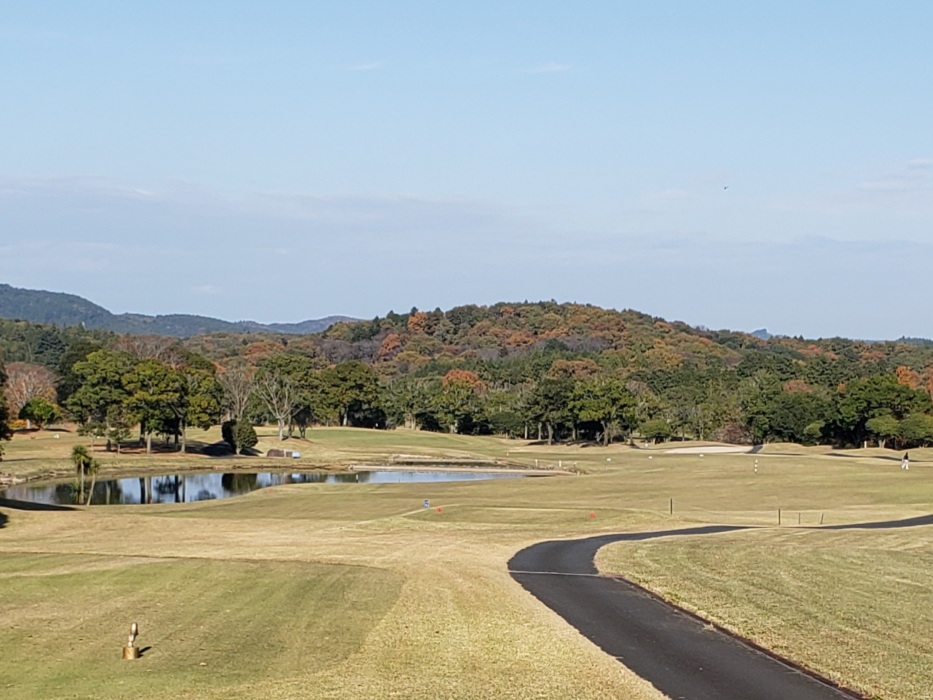 Country Club The Lakes - 5