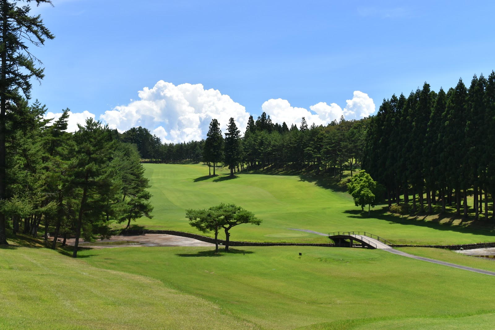 Nagano Kokusai Country Club - 2