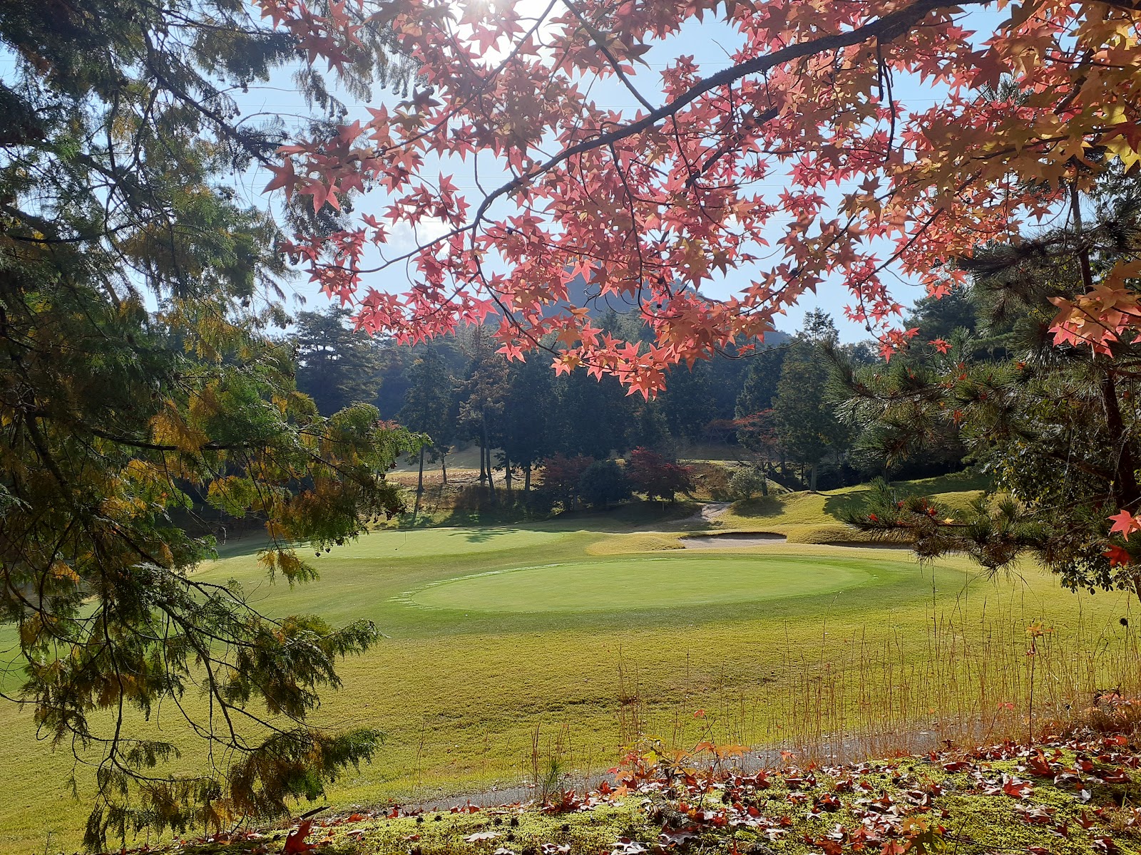 Hiroshimamomiji Country Club - 4