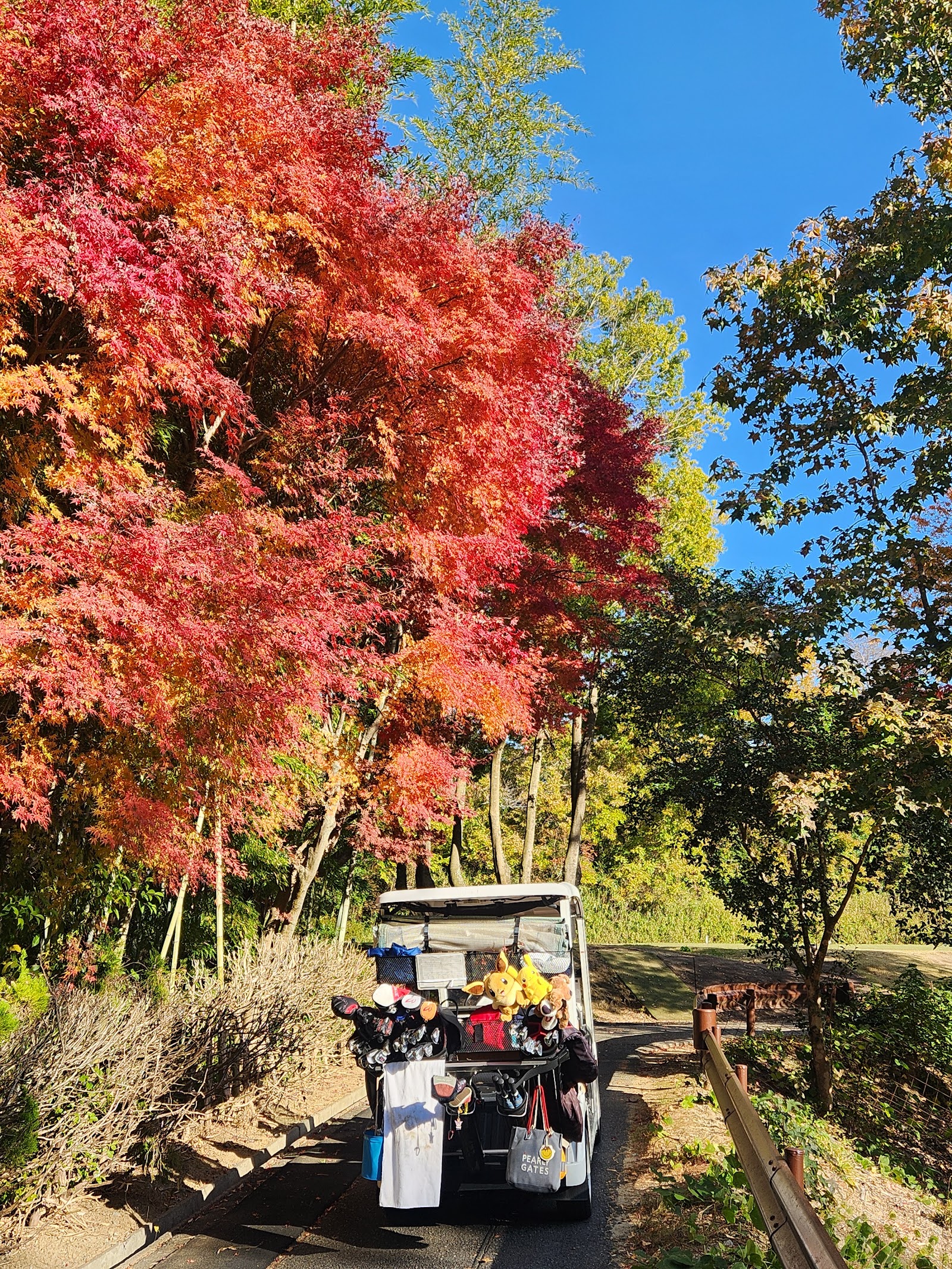 Kansai Classic Golf Club - 4