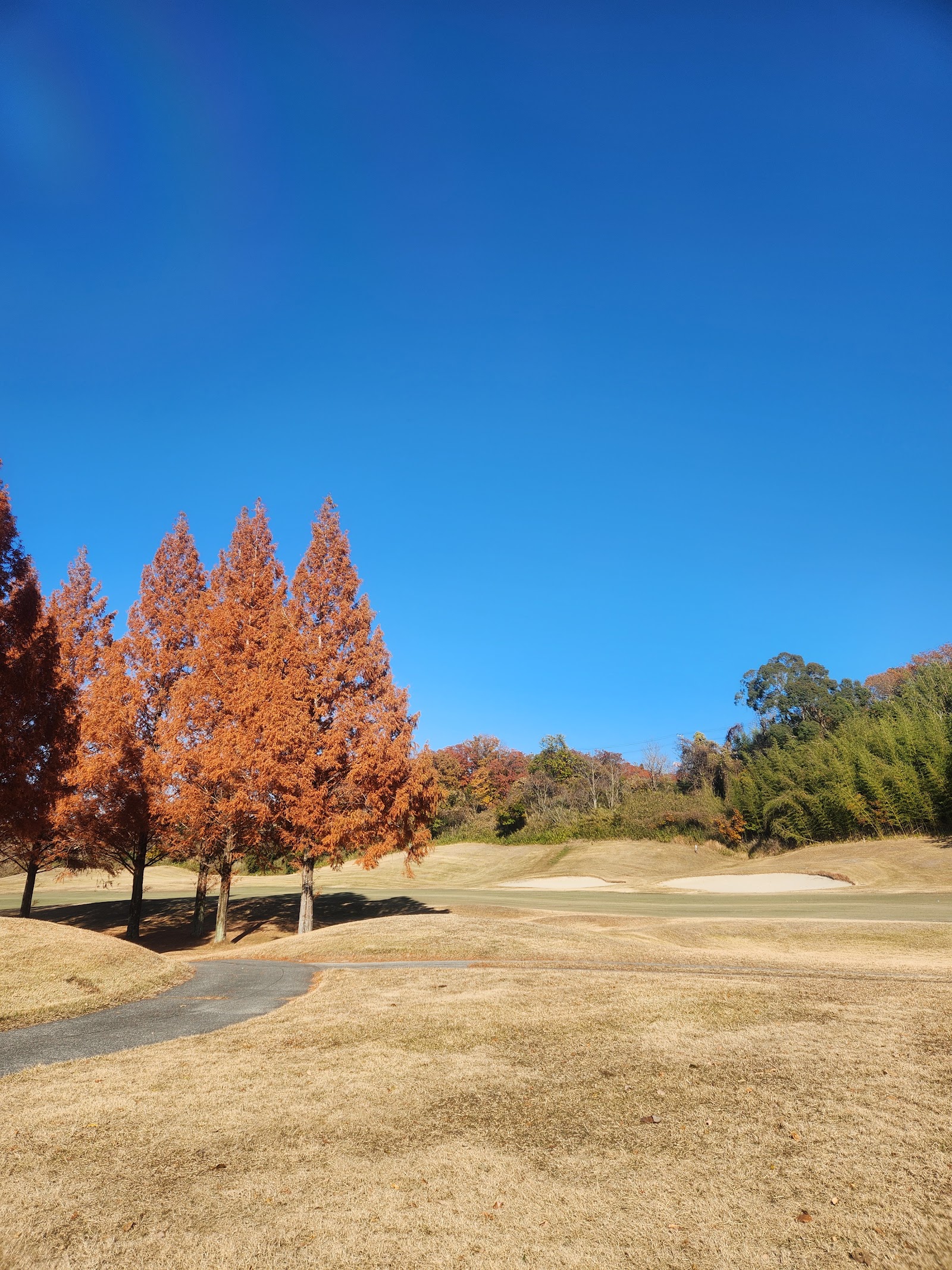 Kansai Classic Golf Club - 6