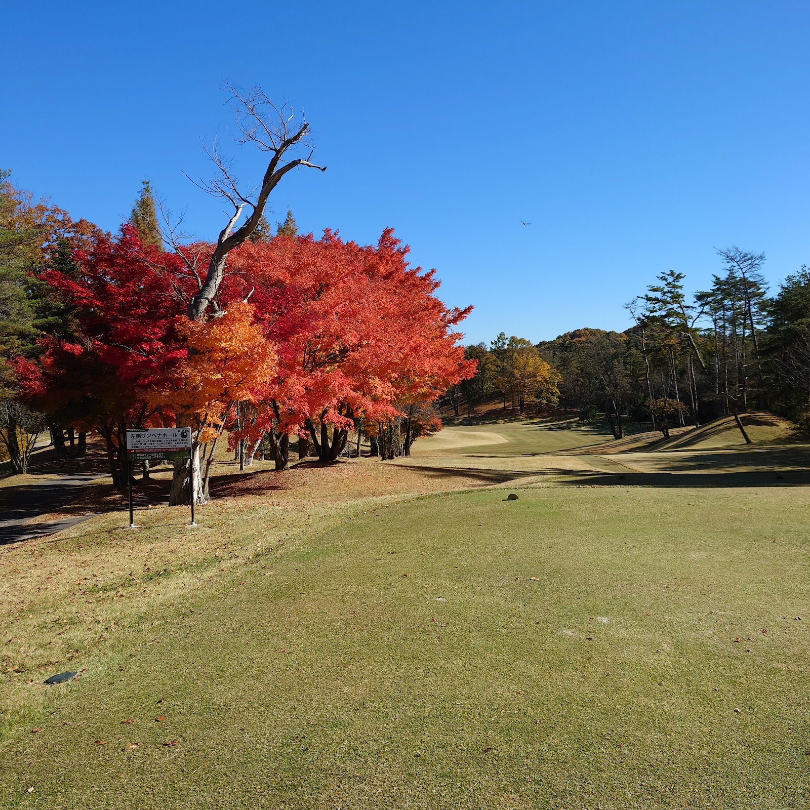Toyoshina Country Club - 6