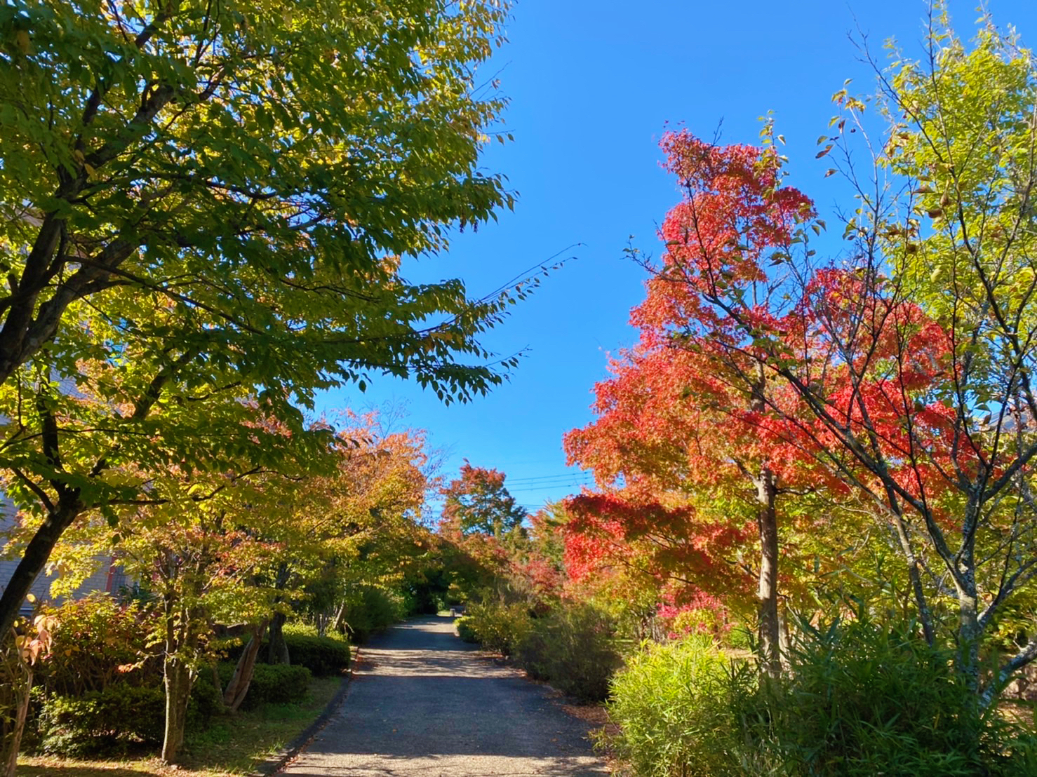 Nishisendai Country Club - 5