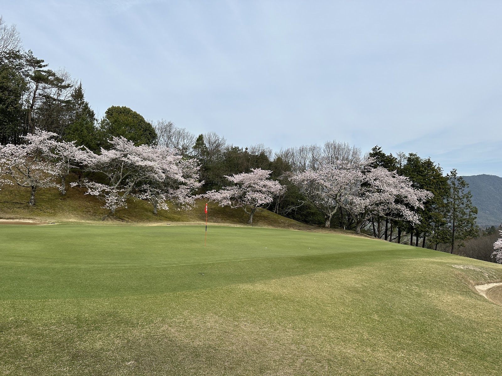 Miyajimashiwa Country Club - 2