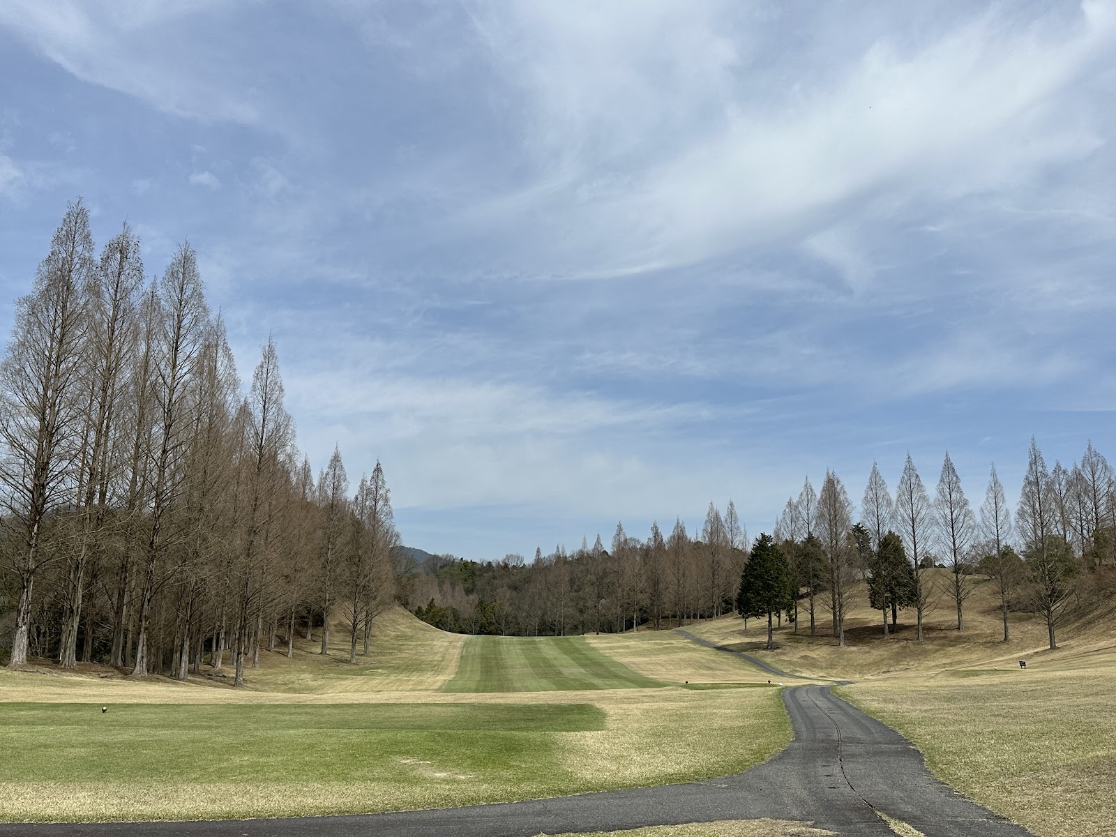 Miyajimashiwa Country Club - 3