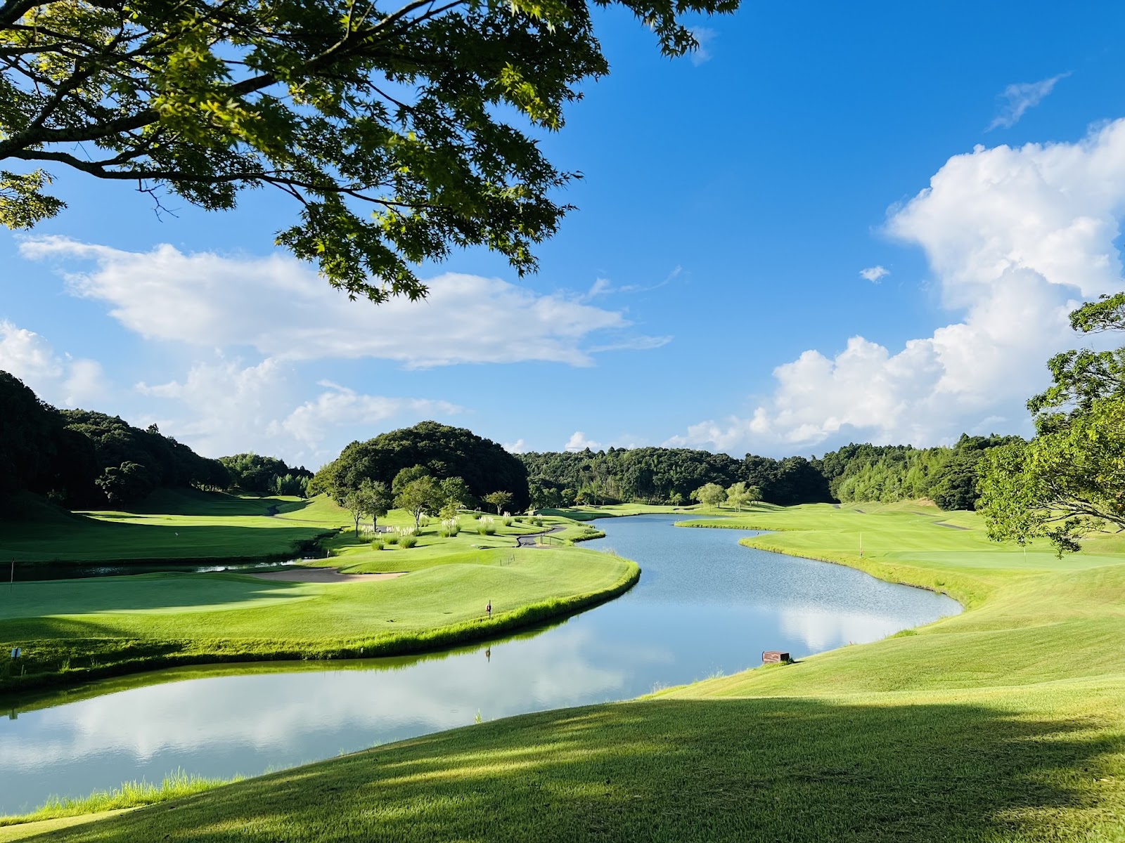 Sentorarugorufukurabu NEW Course Golf - 2