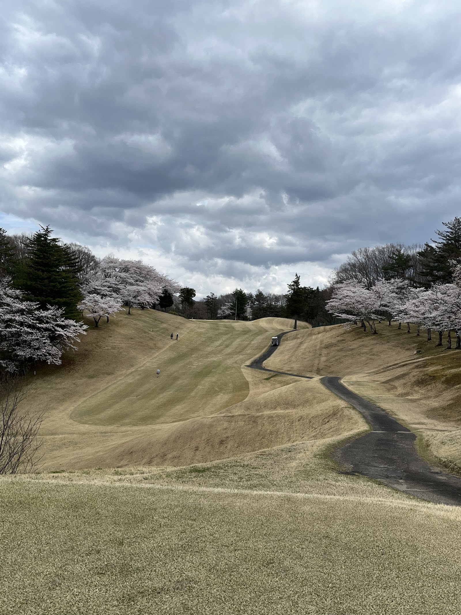 Fukushima Golf Club Minpo Course - 5