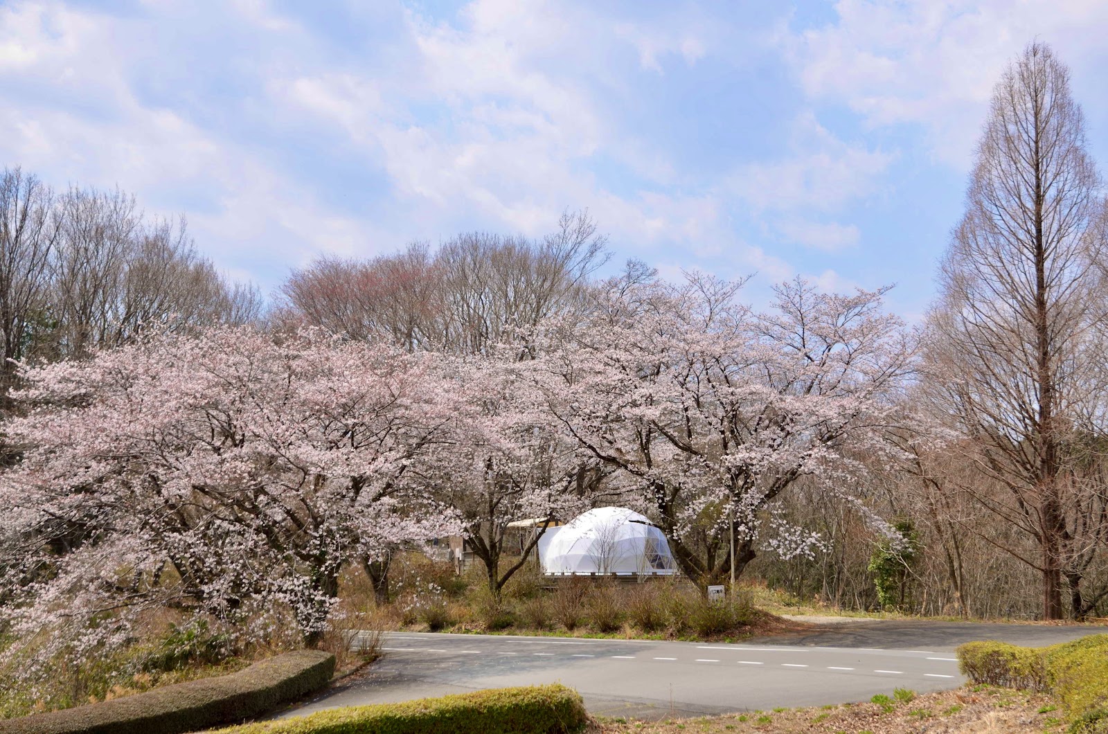 Murasakizuka Golf Club - 6
