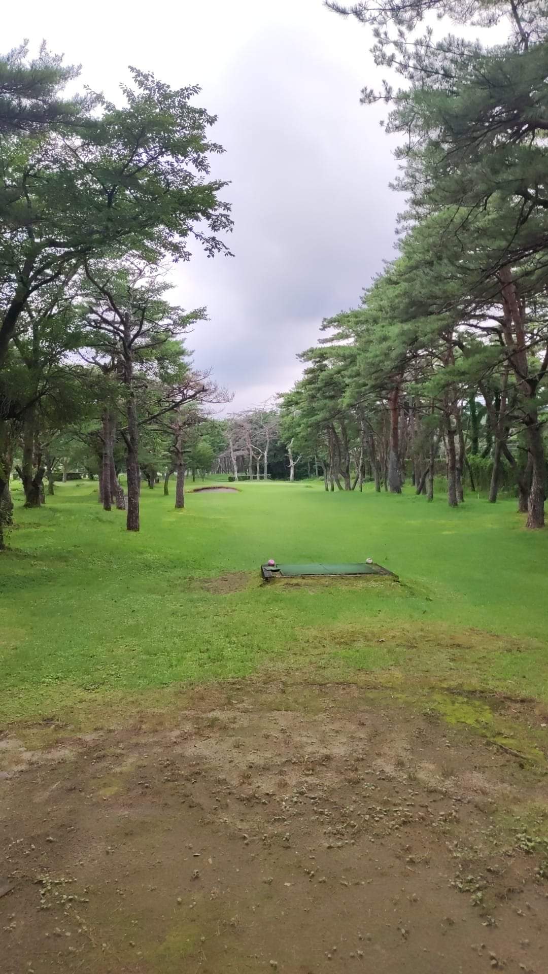 Nikko Athletic Park Civic Golf Course