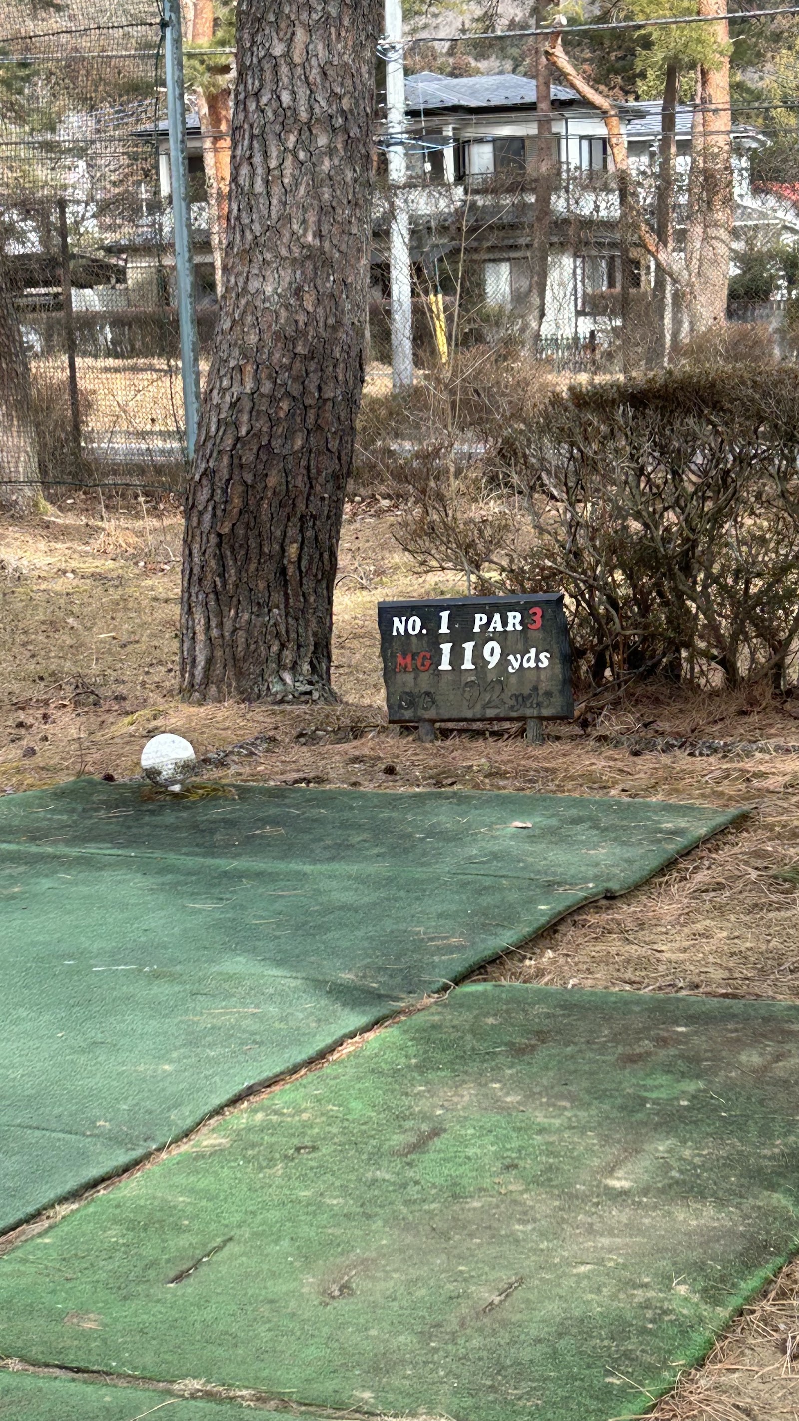 Nikko Athletic Park Civic Golf Course - 3