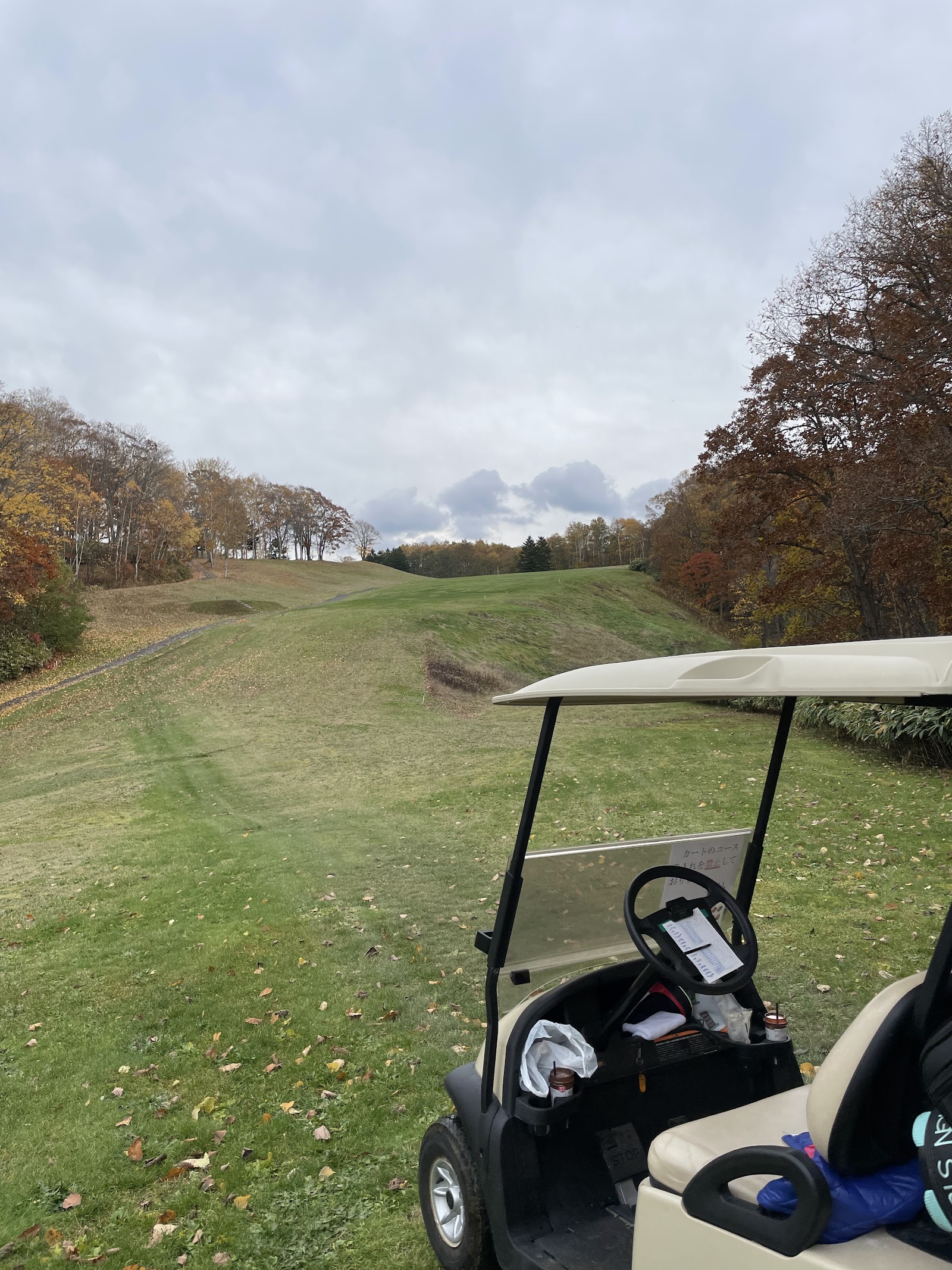 Niseko Golf & Resort - 5
