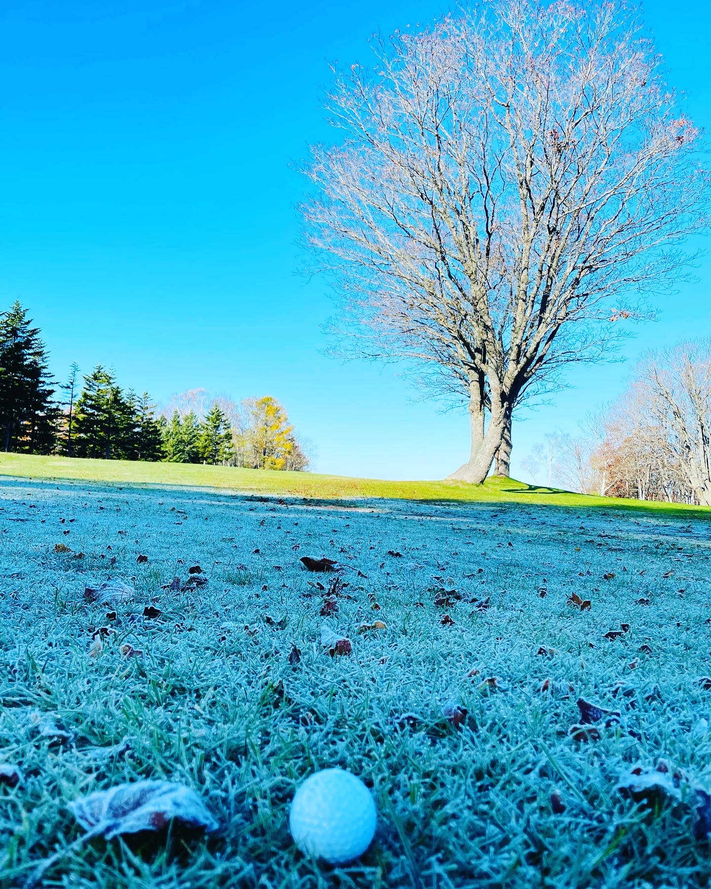 Niseko Golf & Resort - 6