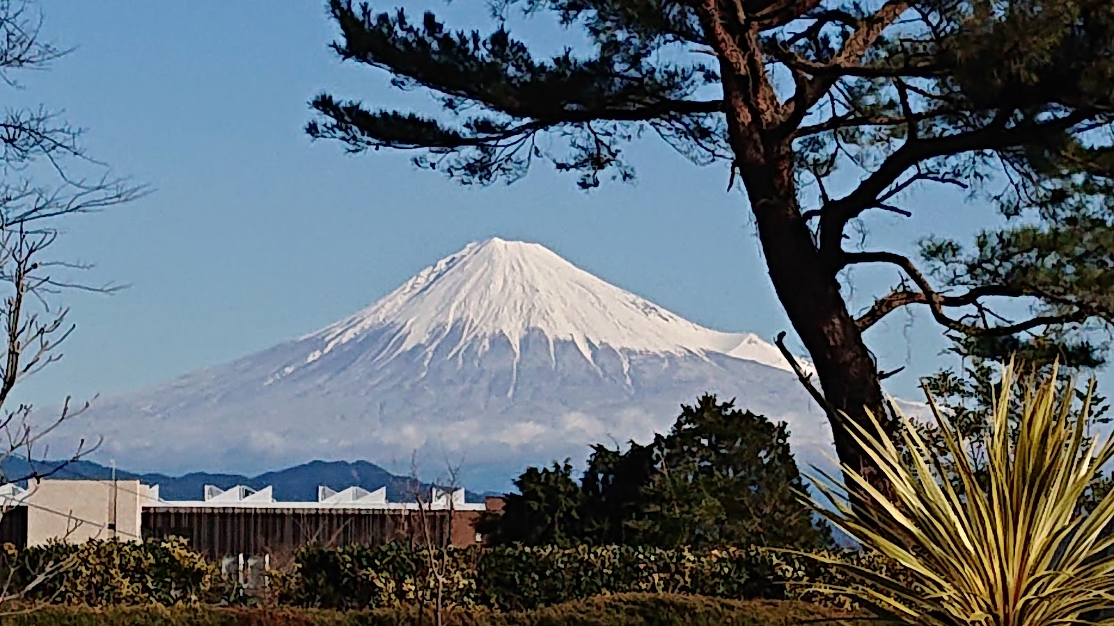 Nihondaira Golf Club - 2