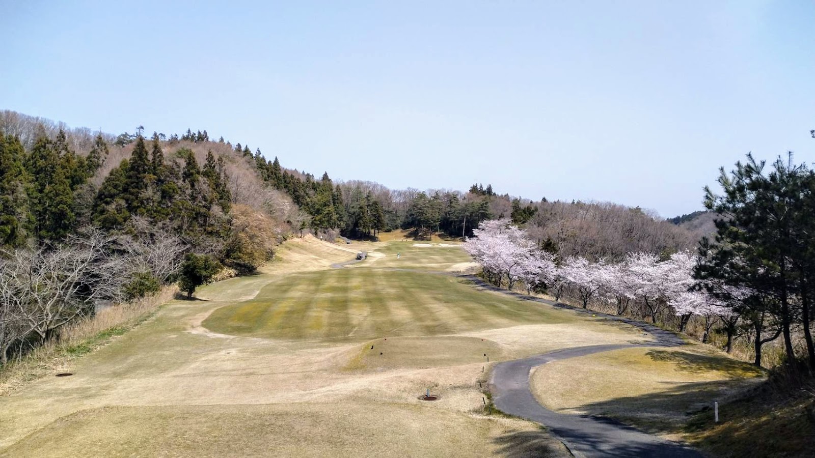 Dainiigata Country Club Izumozaki Course - 5