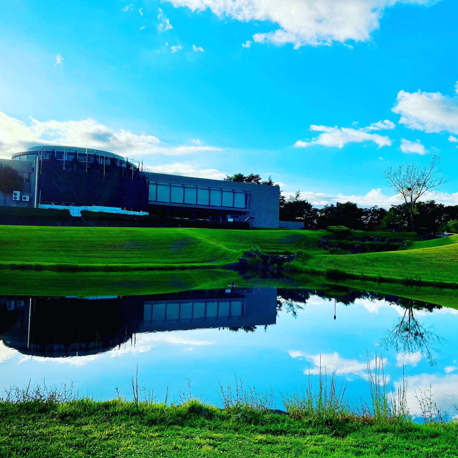 Nyu Adonis Golf Club - 3